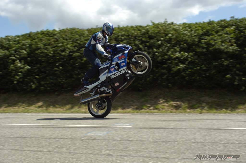 Photo 202541