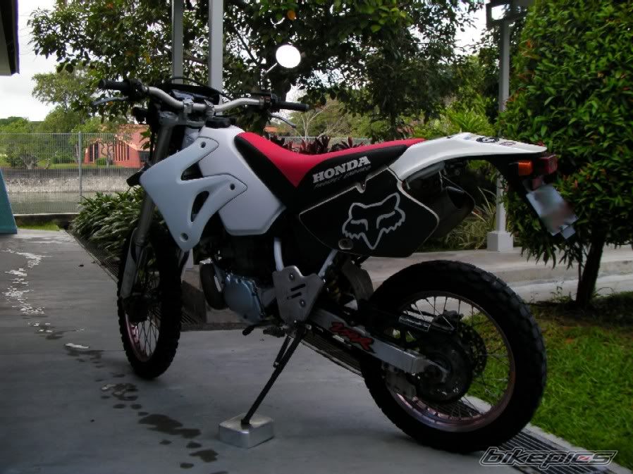 Photo 2025439