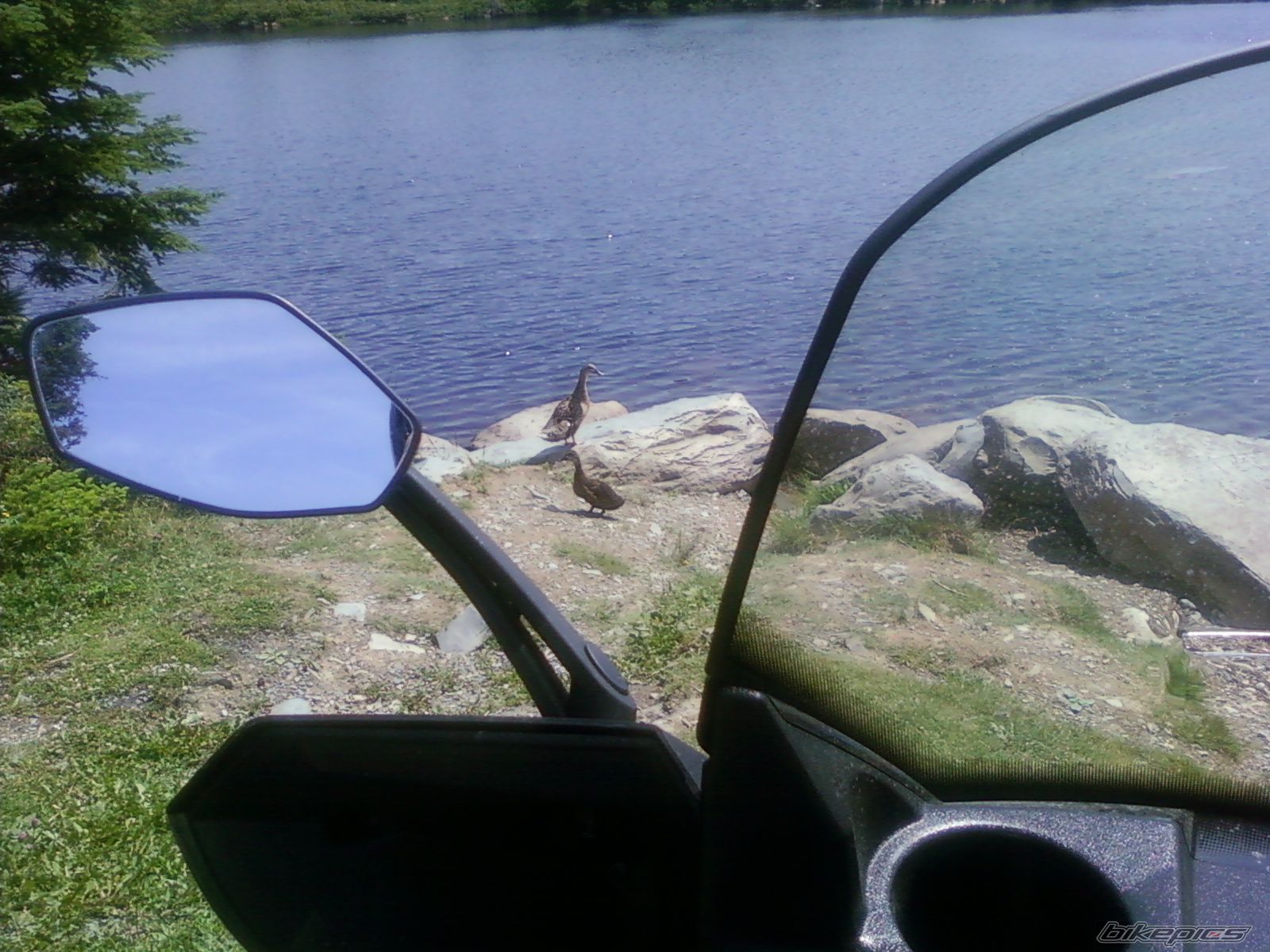 Bike Photo 2025482