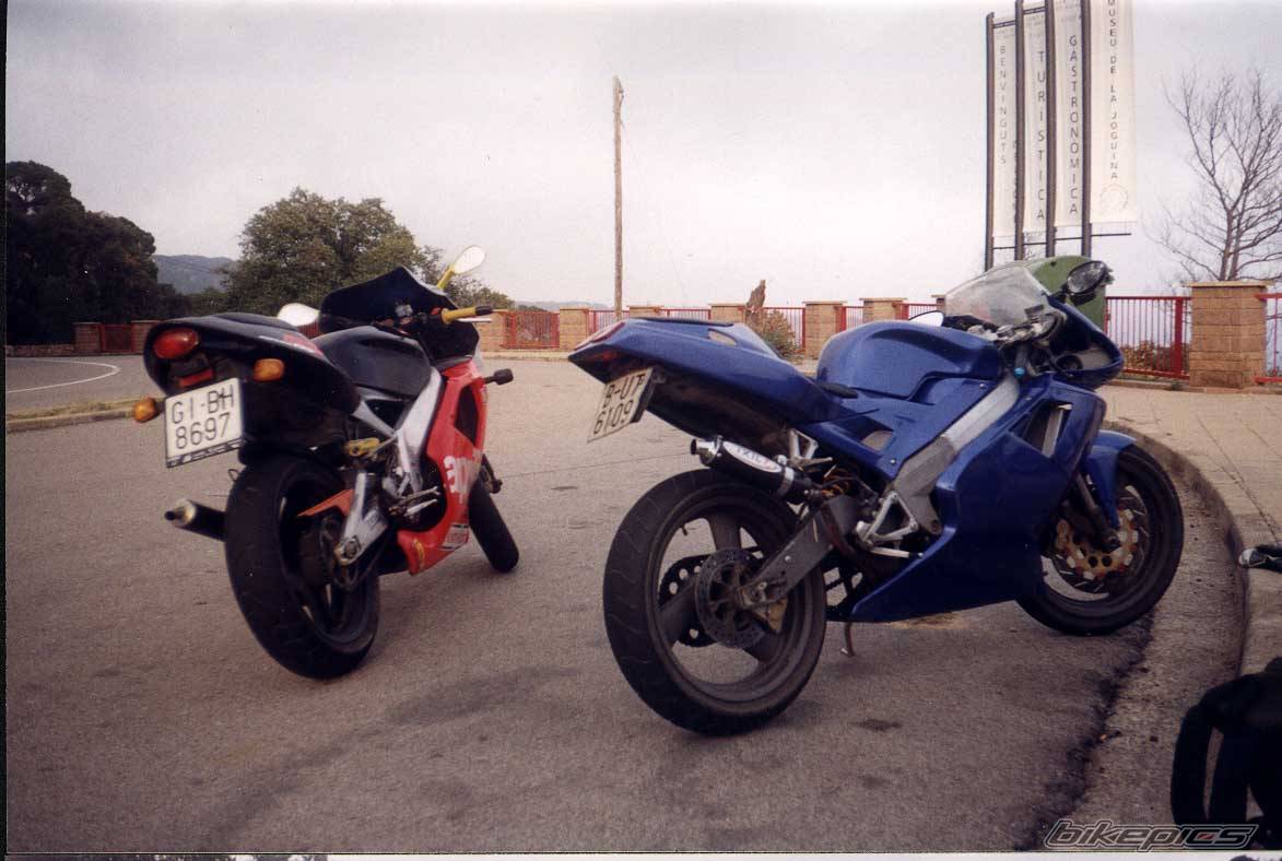 Photo 20255
