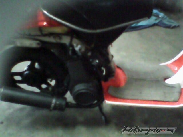 Photo 2025502