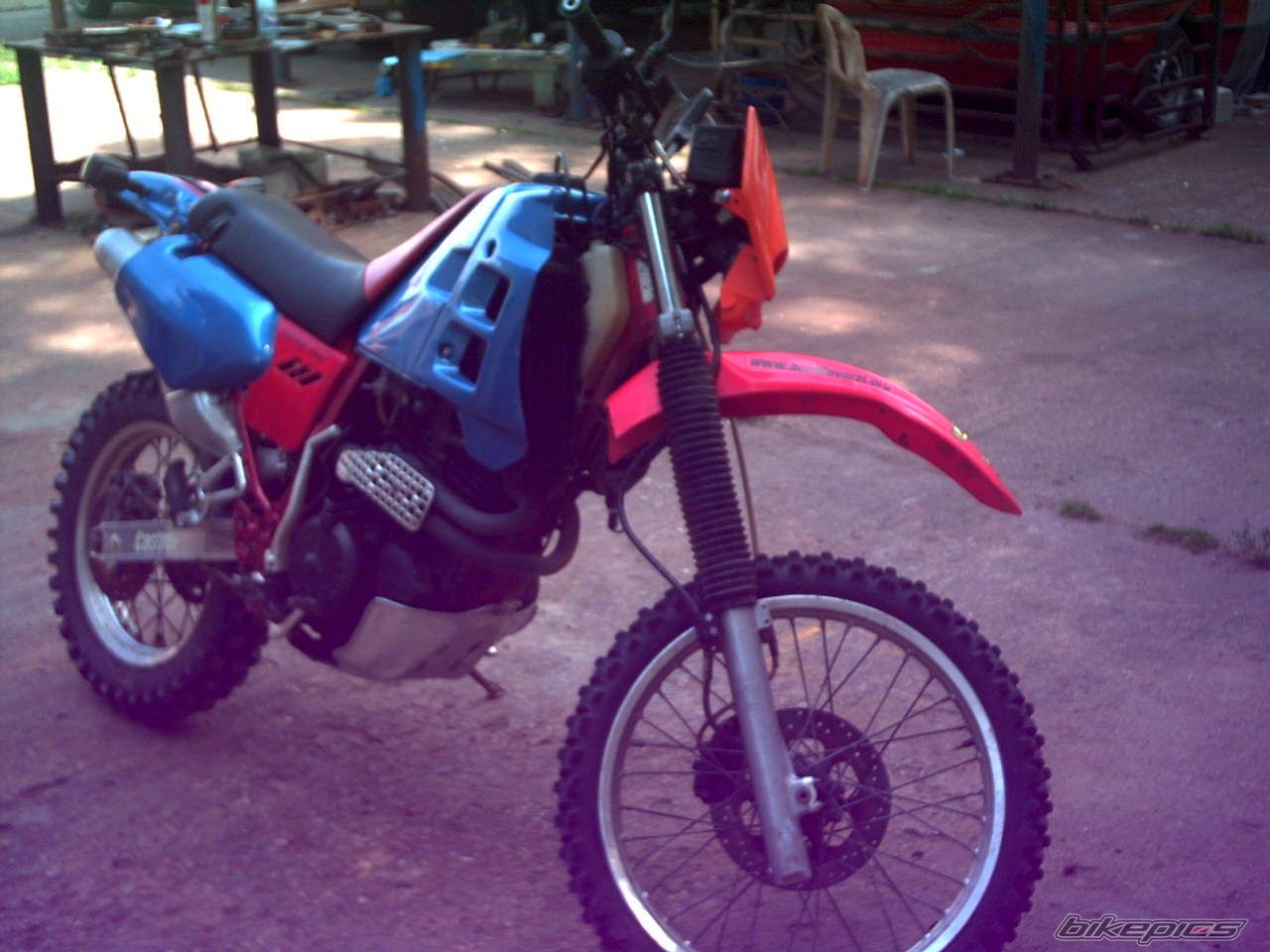 Photo 2025555