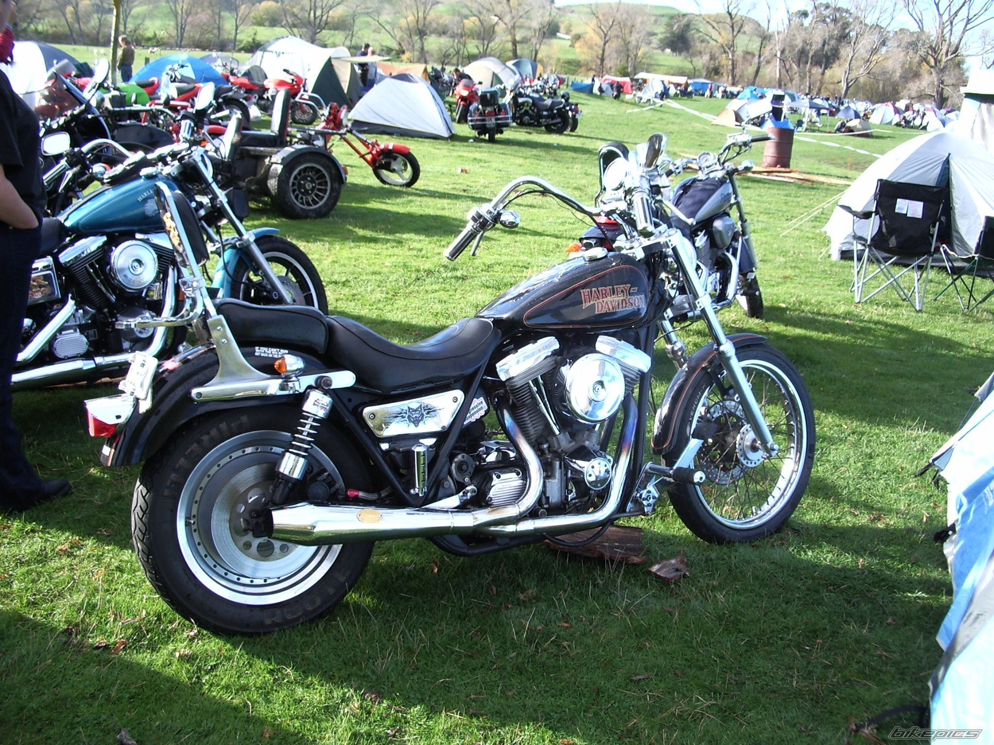 Photo 2025601