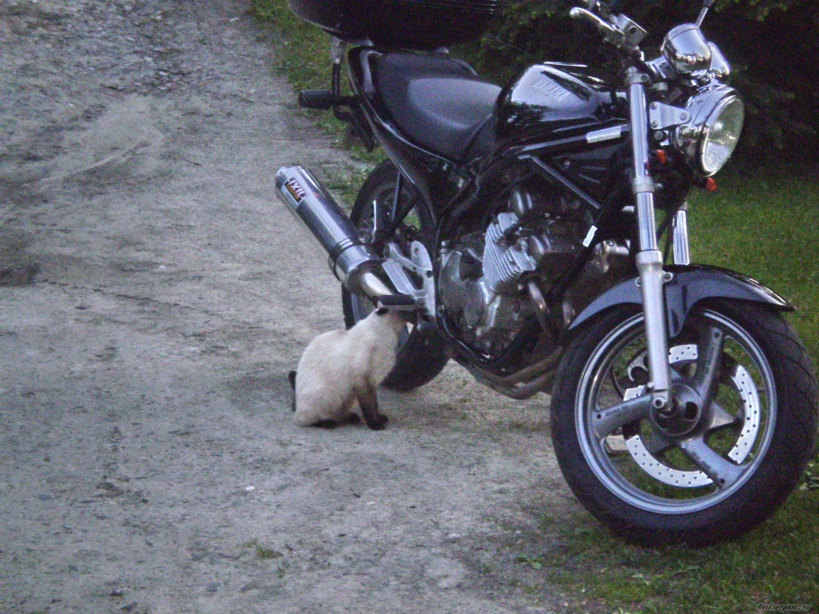 Bike Photo 2025860