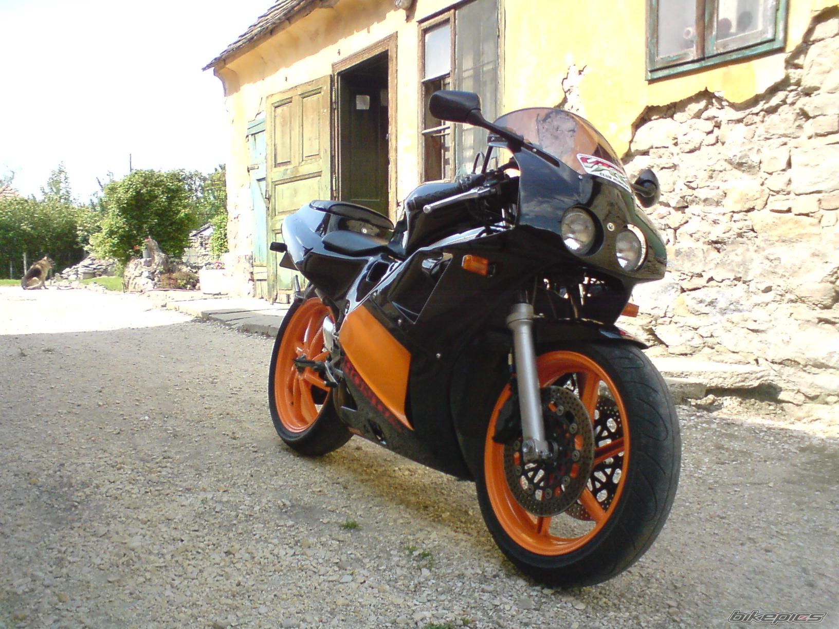 Photo 2025895