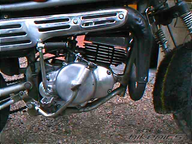 Photo 202593