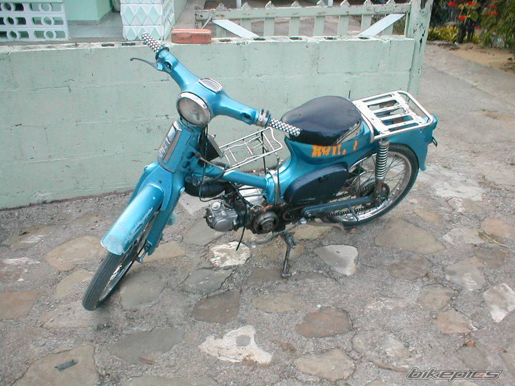 Photo 20260