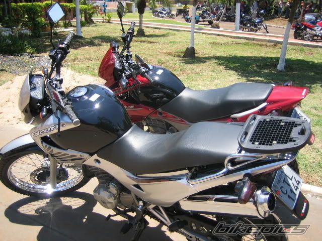Photo 2026018
