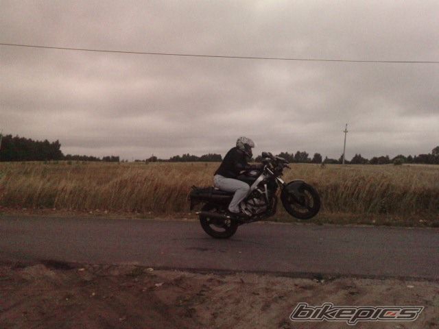 Photo 2026064