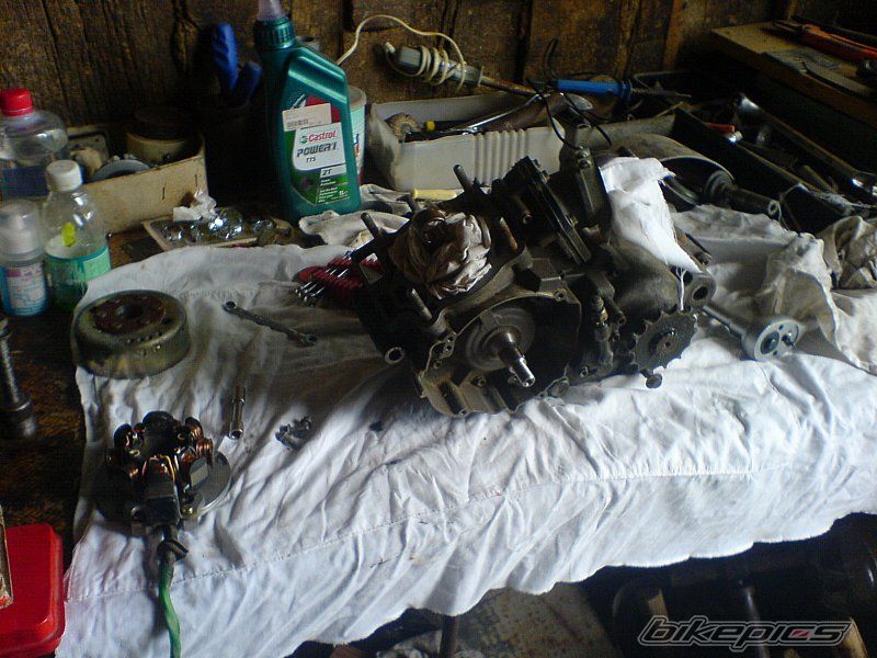 Photo 2026177