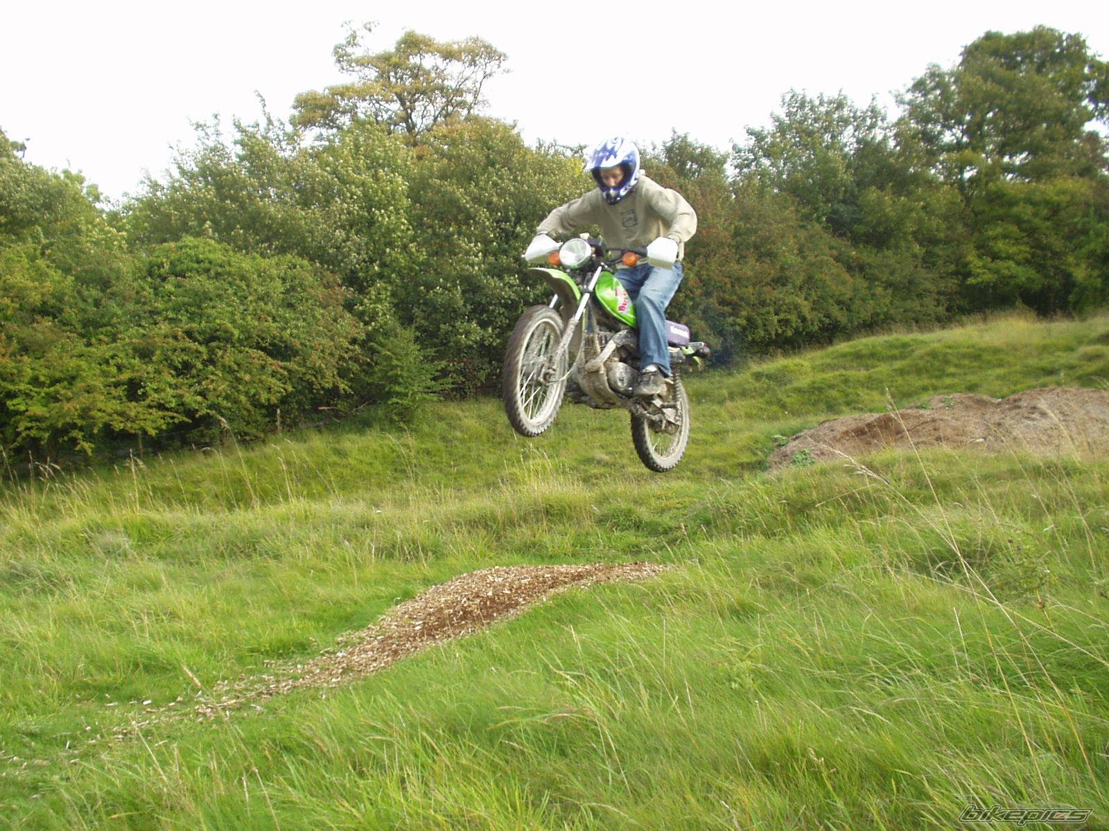 Photo 202640