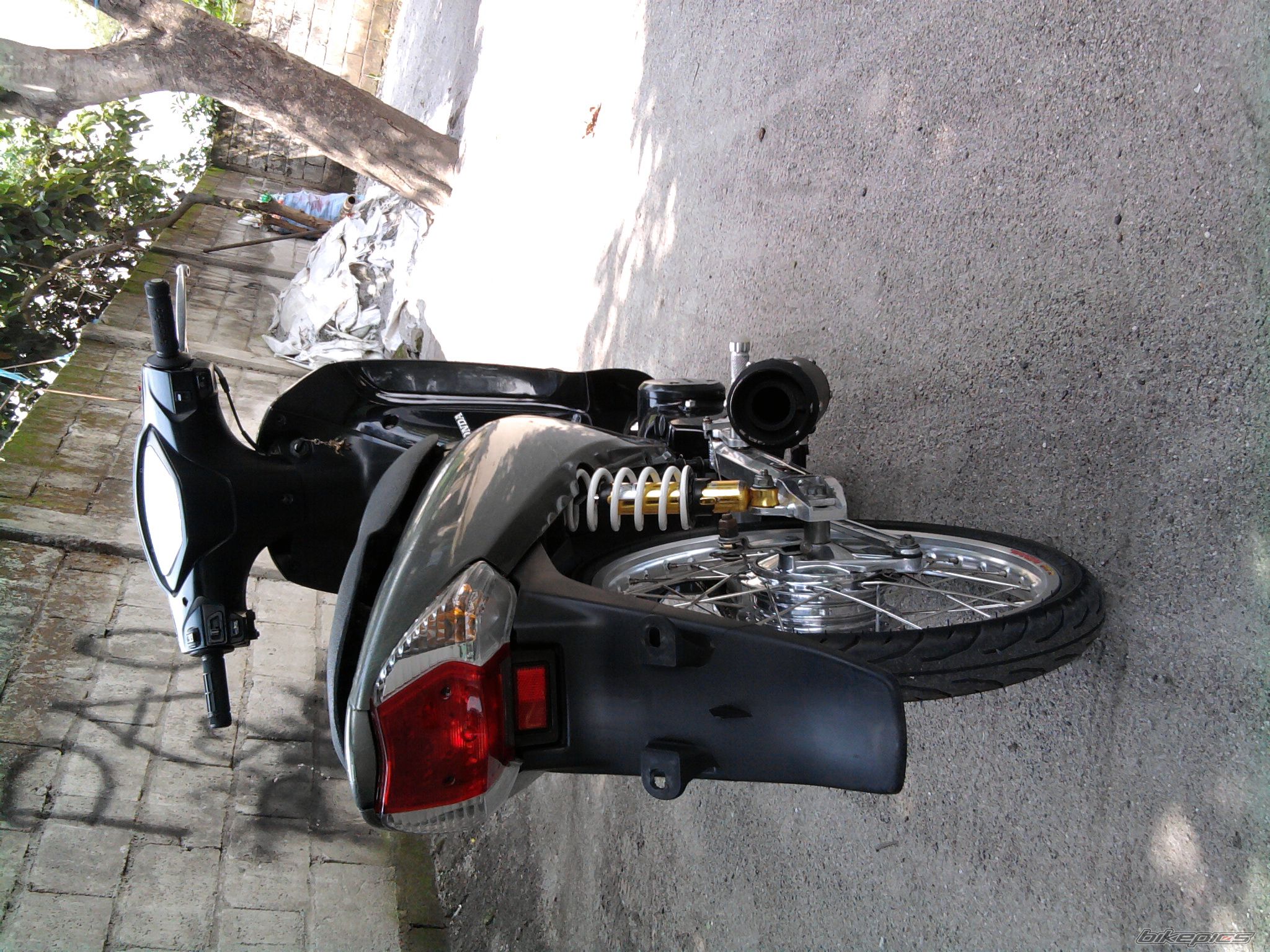 Photo 2026415