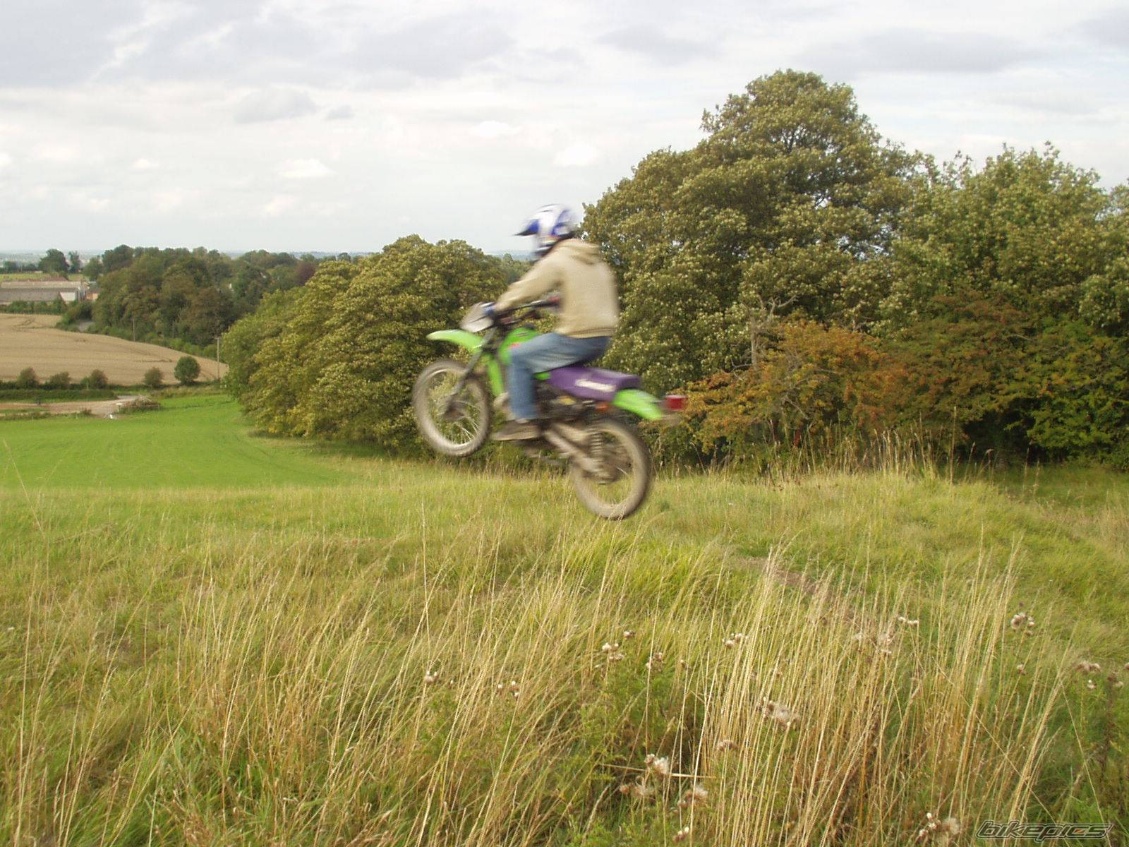 Photo 202643