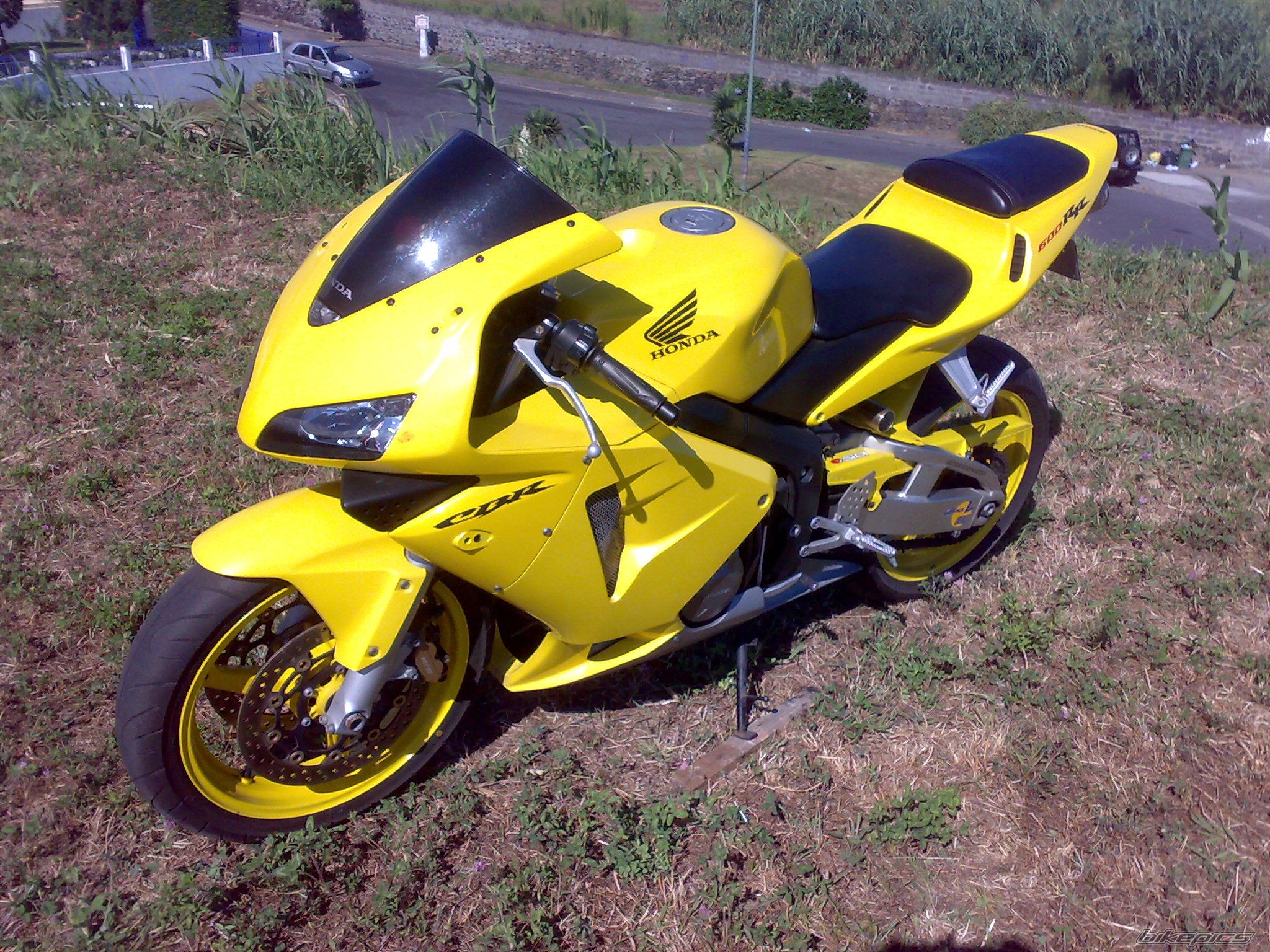 Photo 2026482