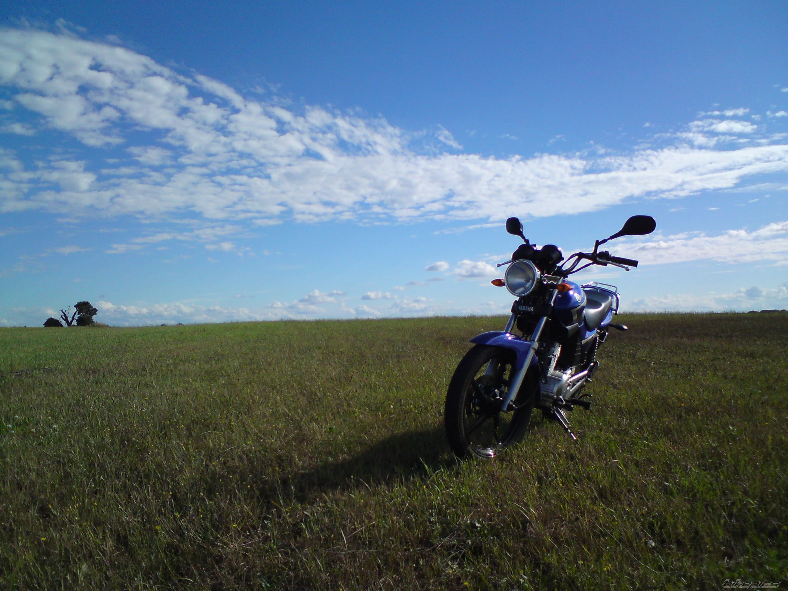 Photo 2026643
