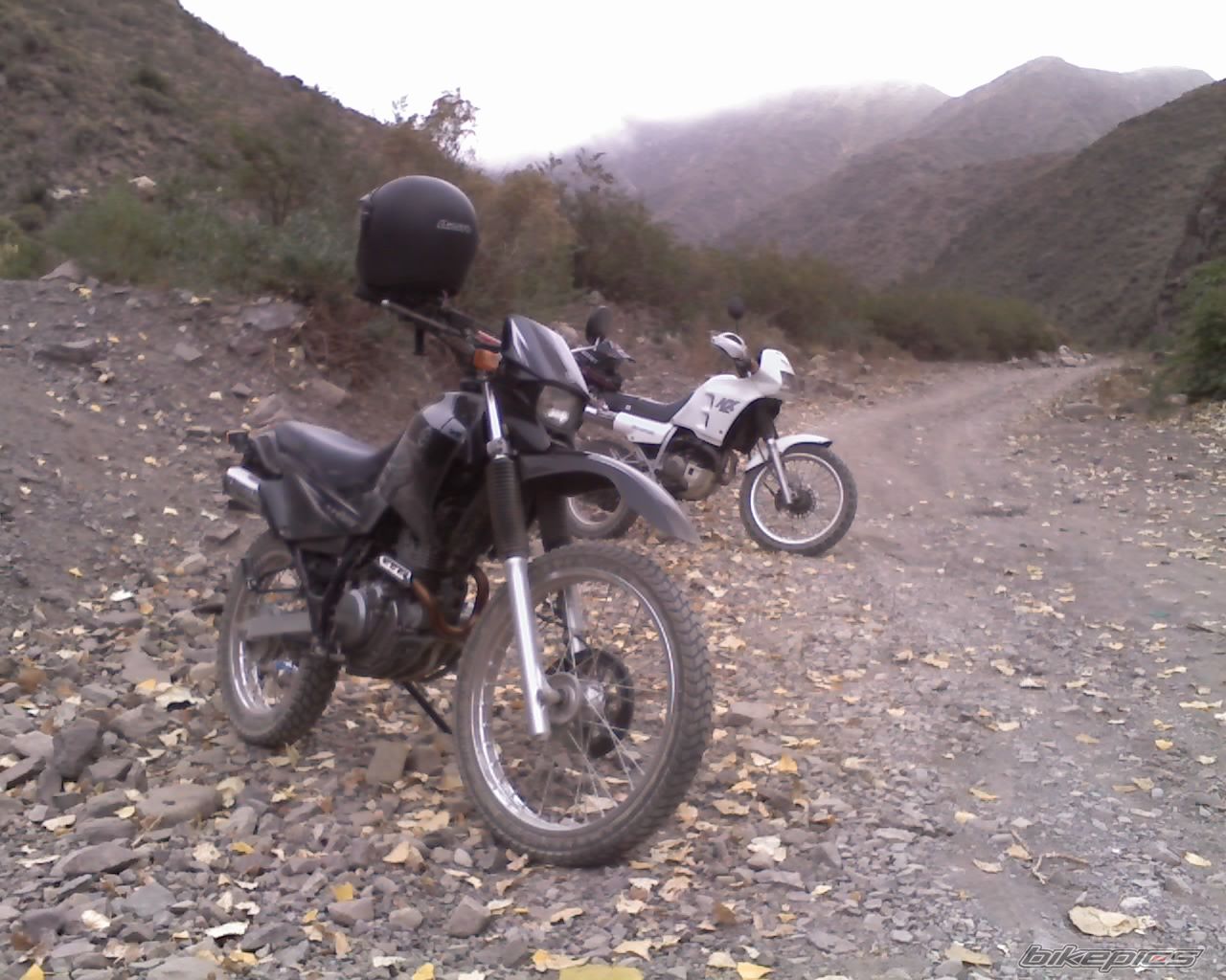 Photo 2026666
