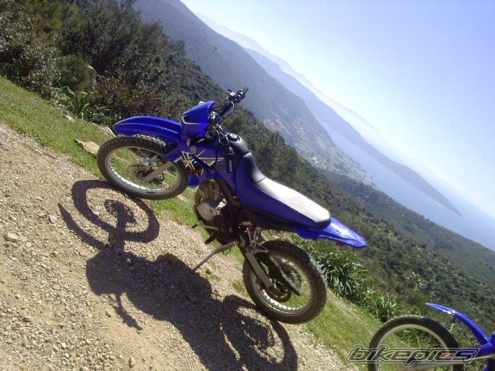 Photo 2026929