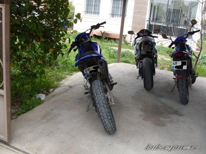 Photo 2026931