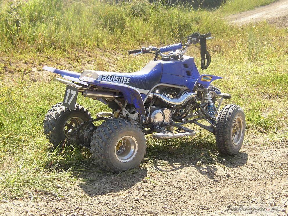 Photo 202695