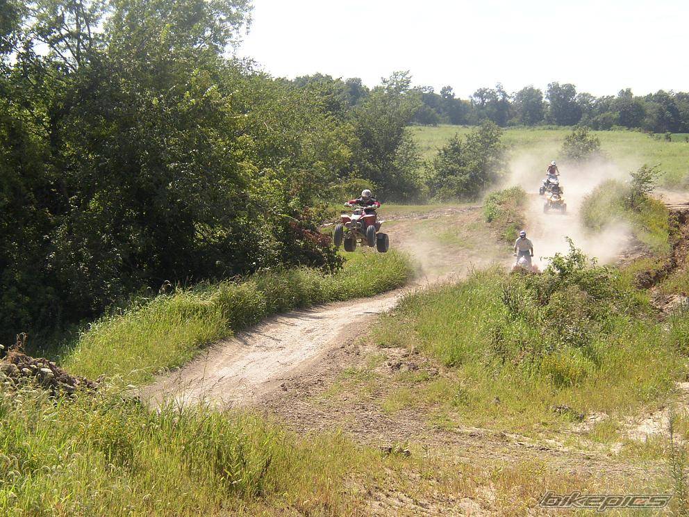 Photo 202696