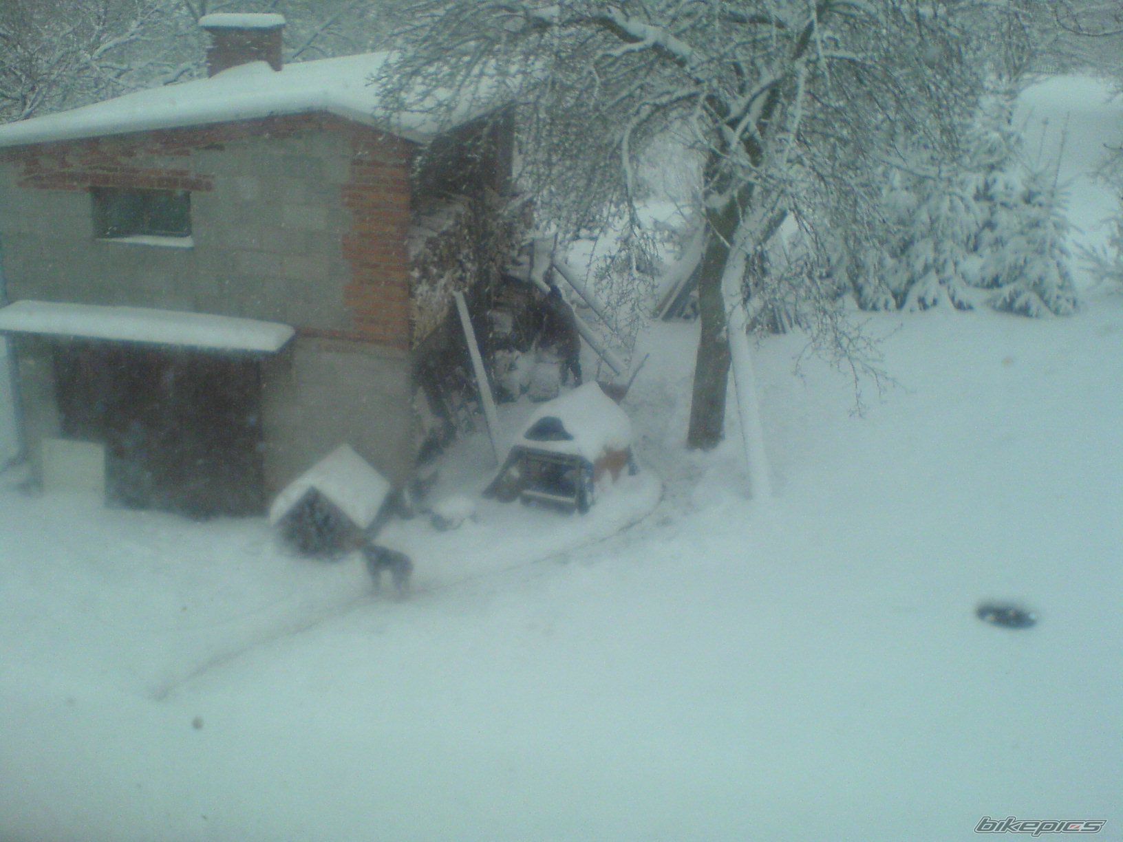 Bike Photo 2027069