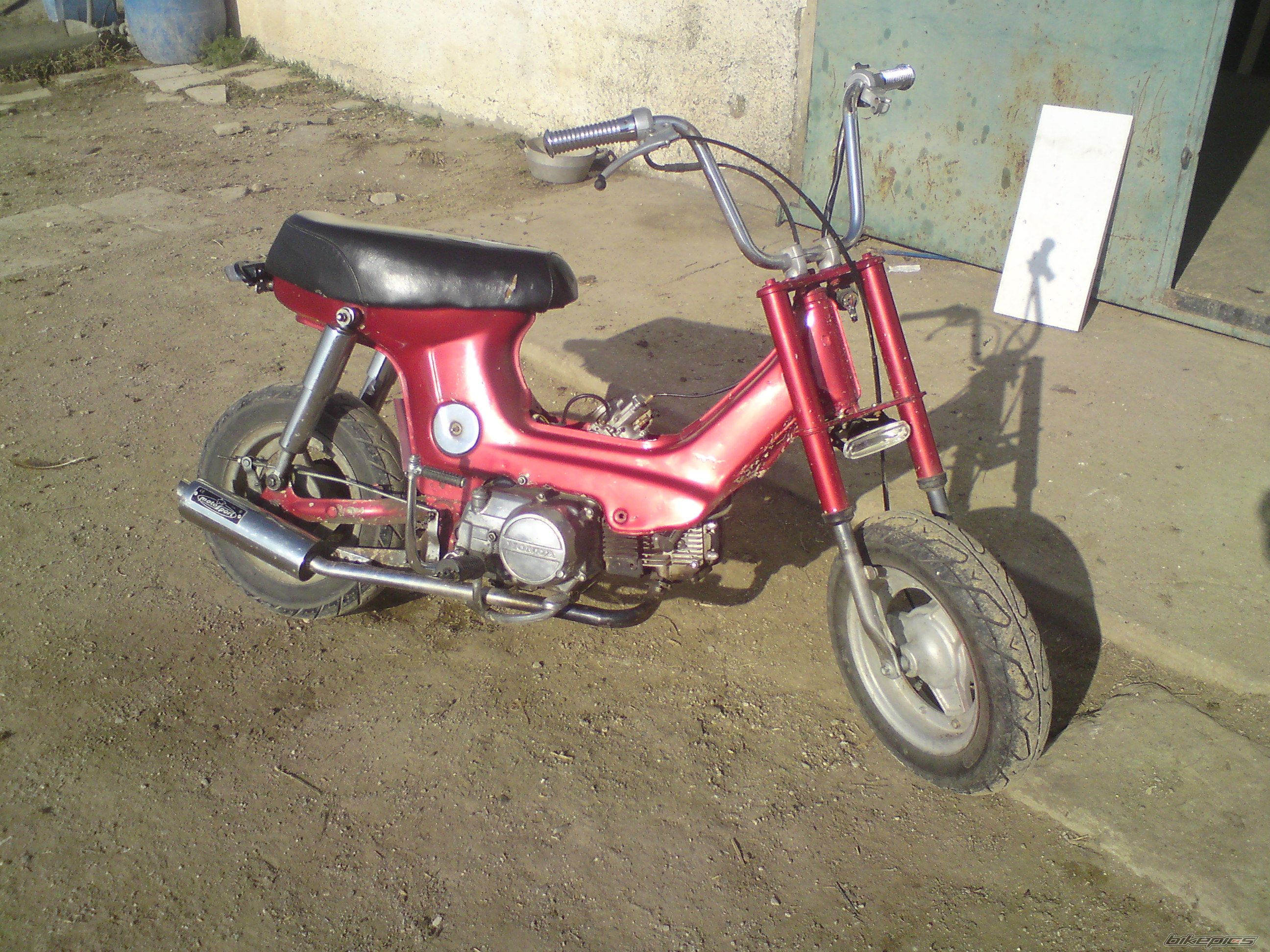 Photo 2027173