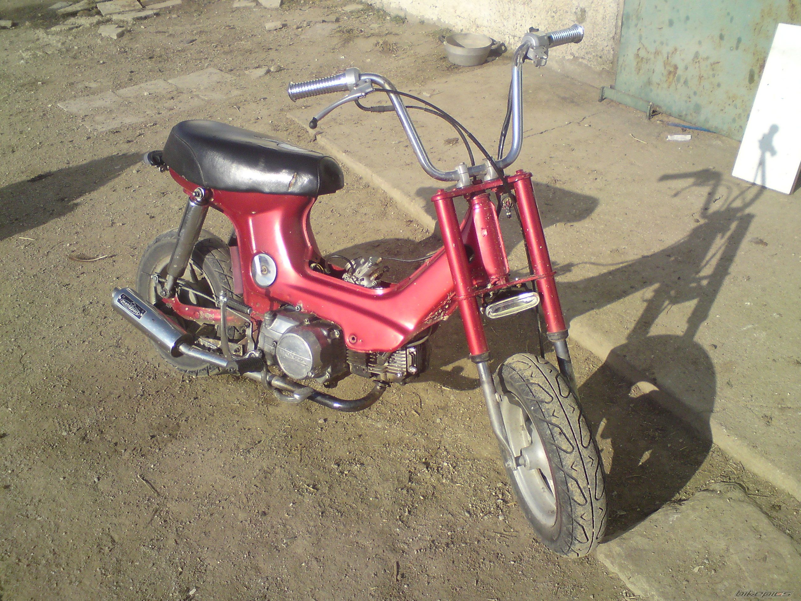 Photo 2027175