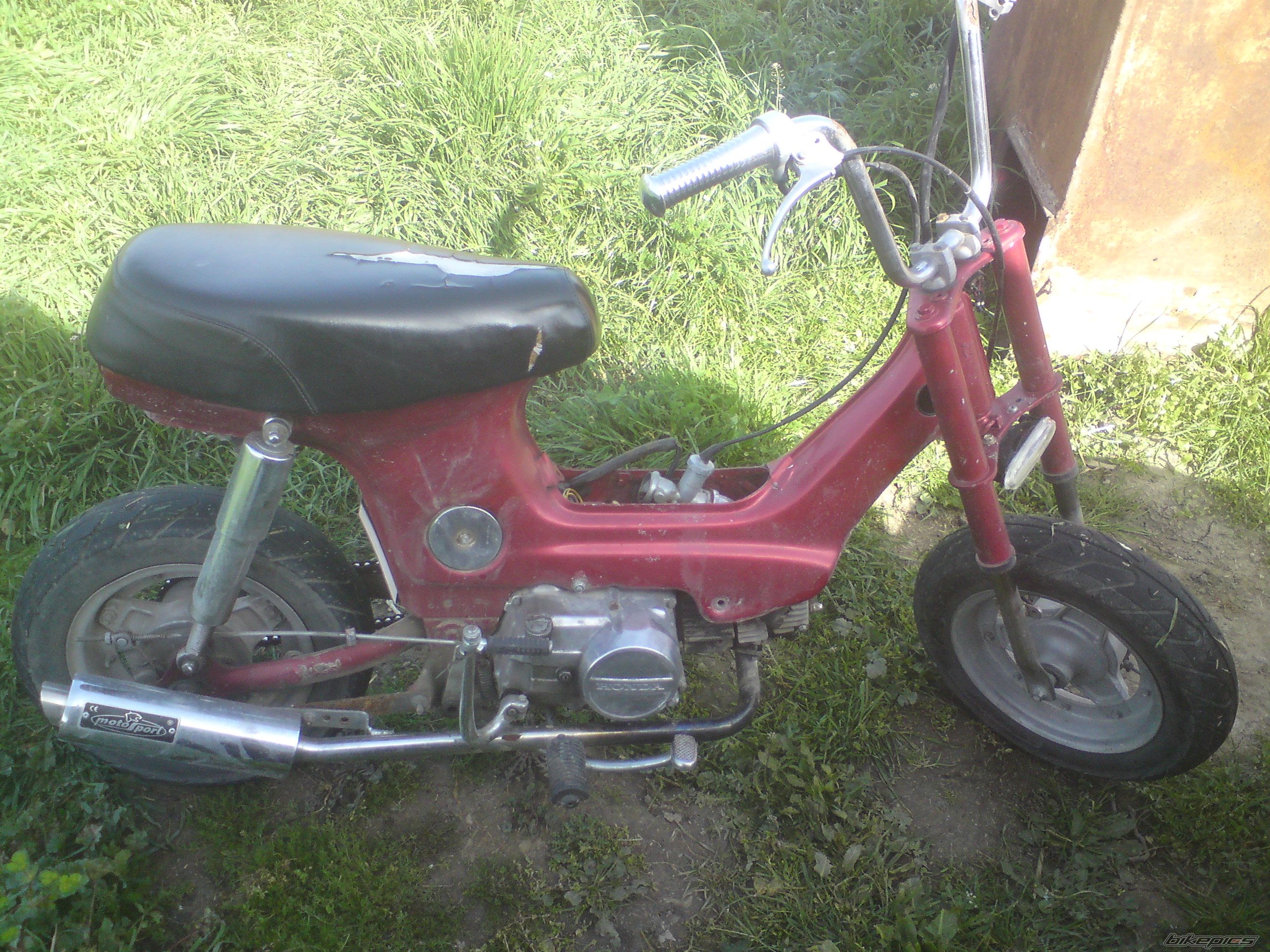 Photo 2027176