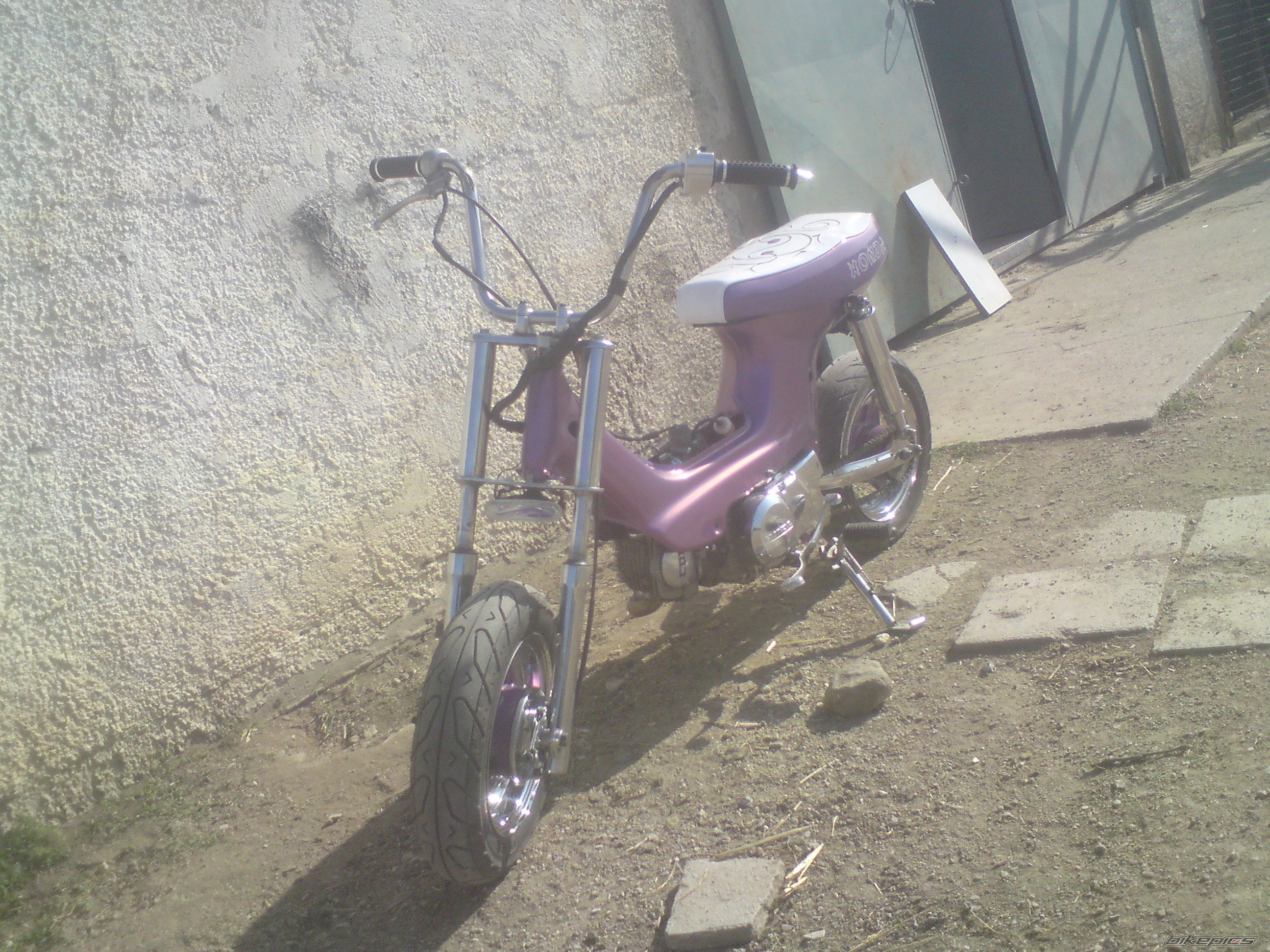 Photo 2027198