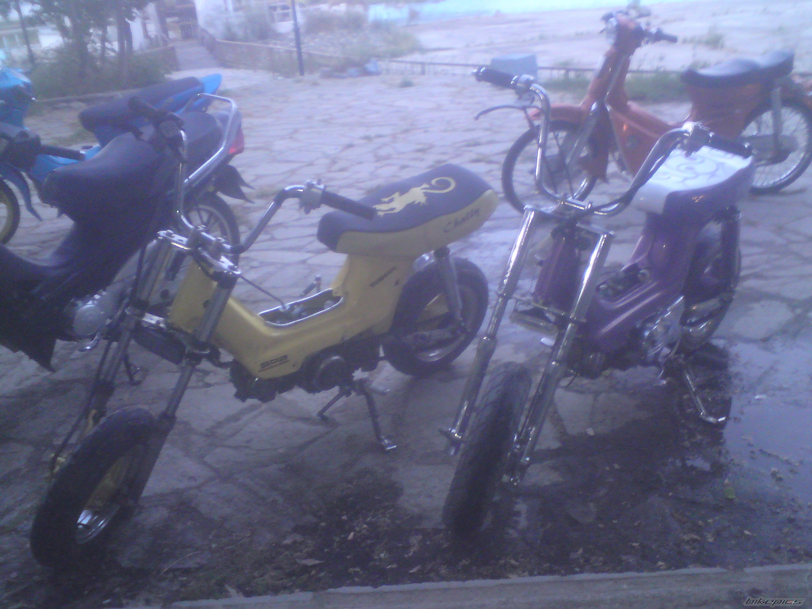 Photo 2027199