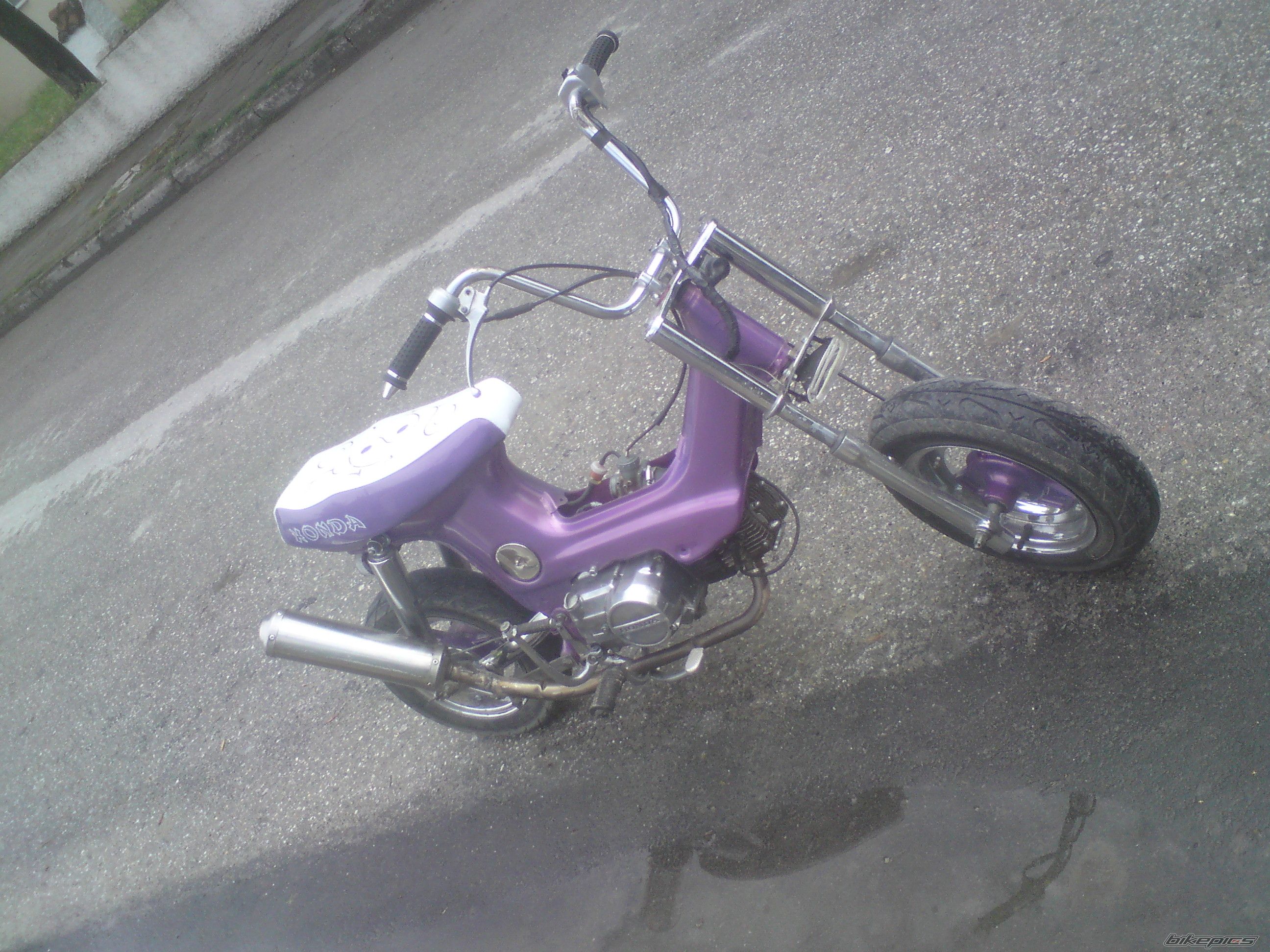 Photo 2027202