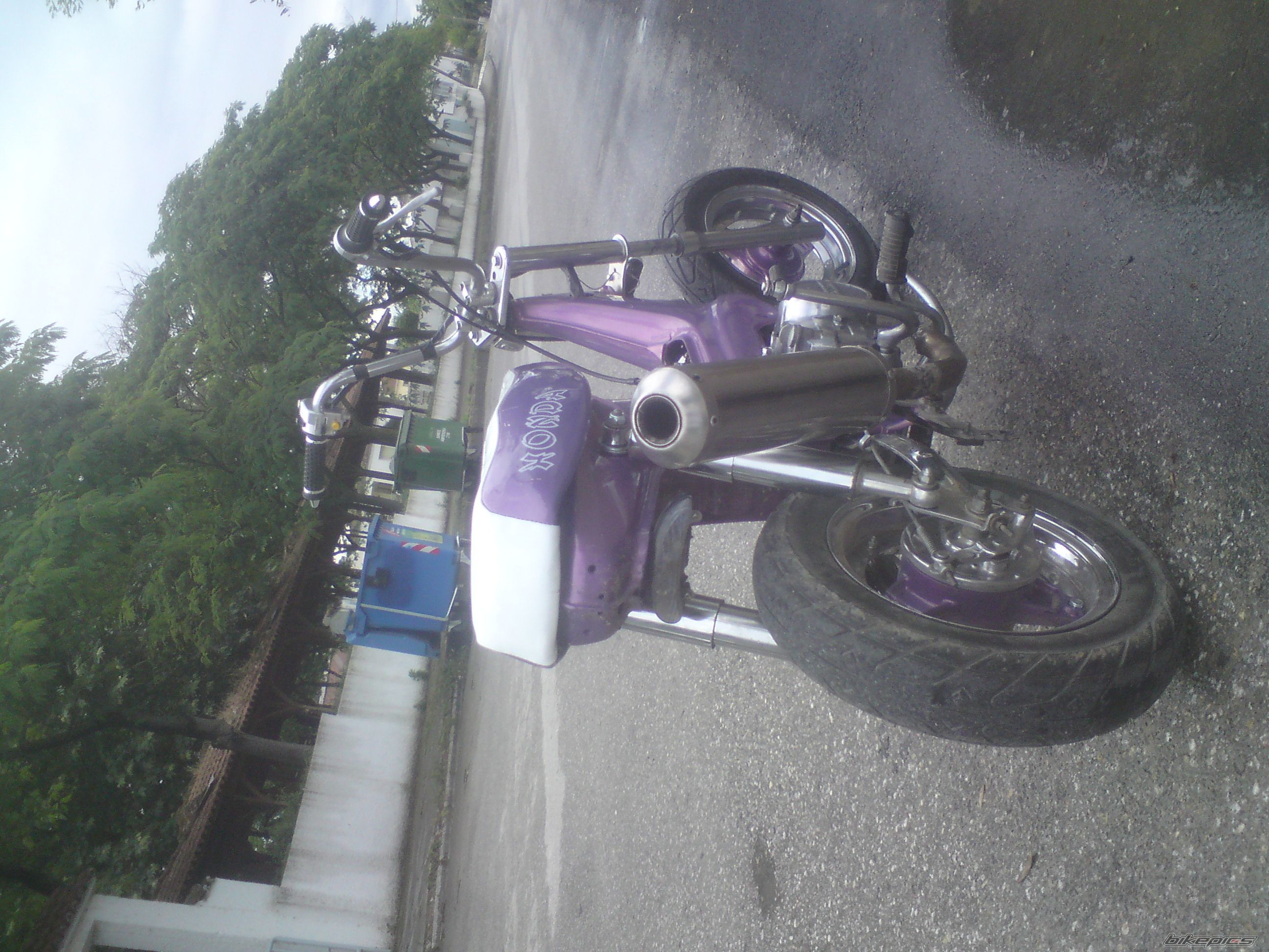 Photo 2027204