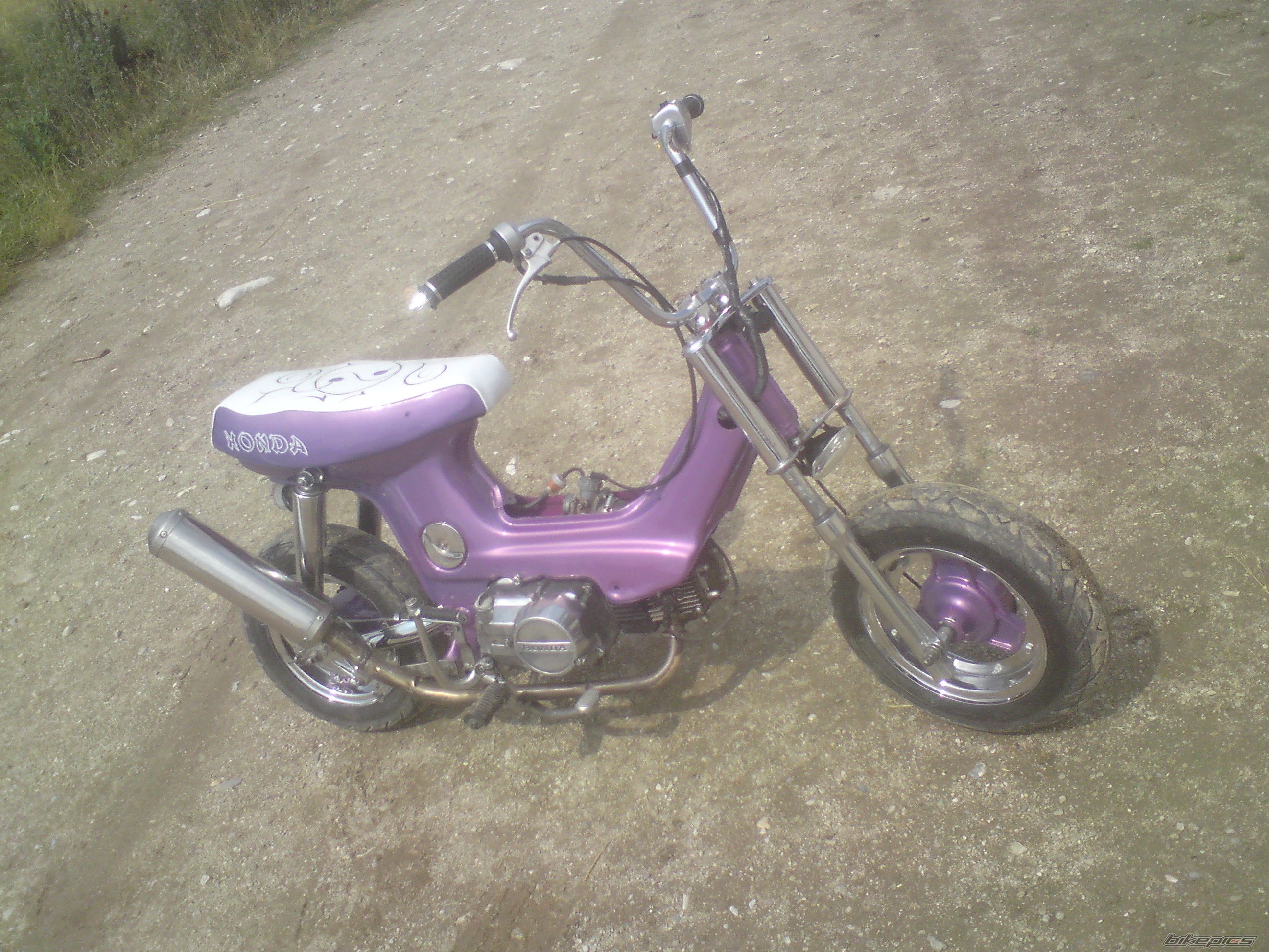 Photo 2027206