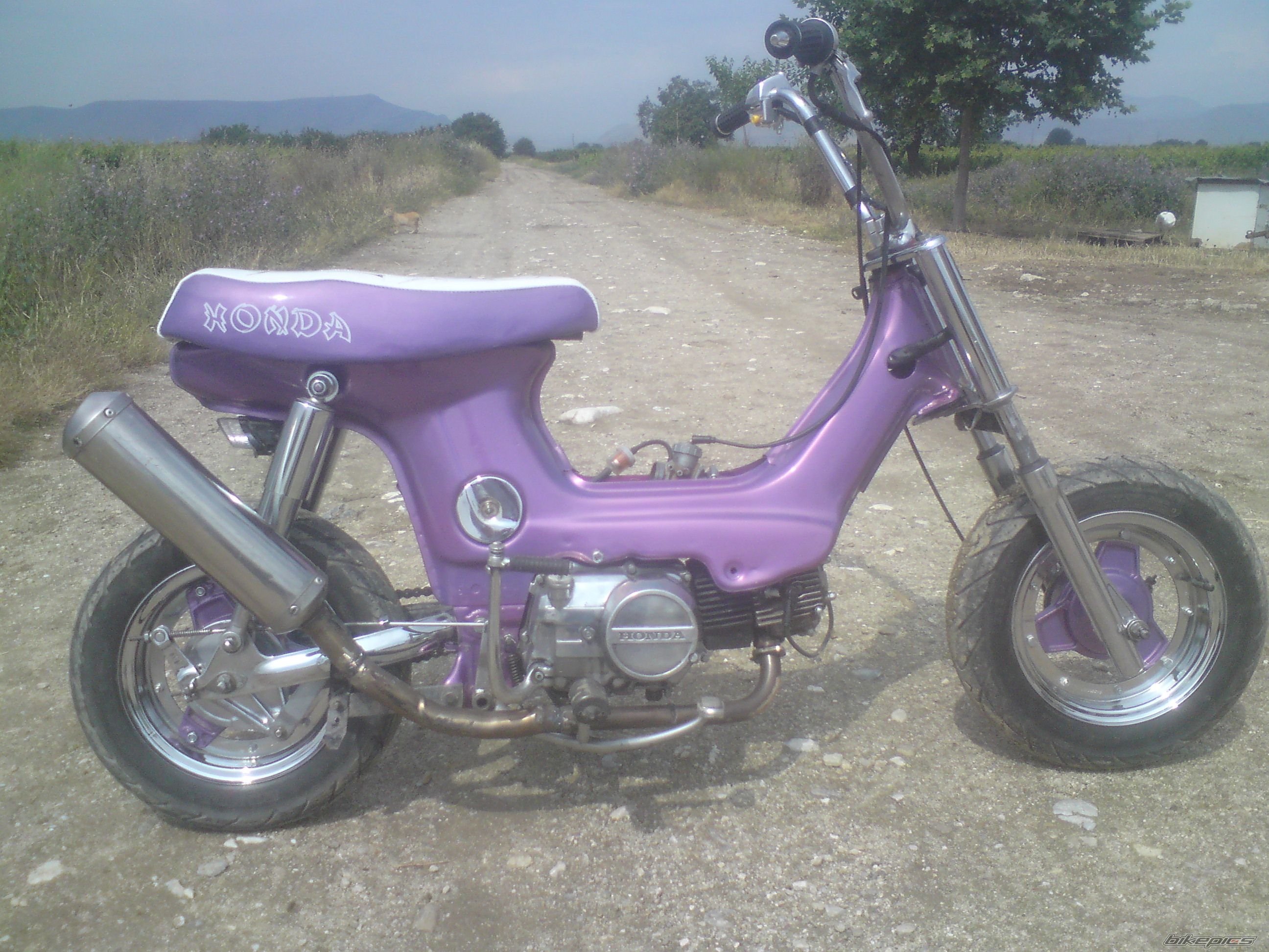 Photo 2027209