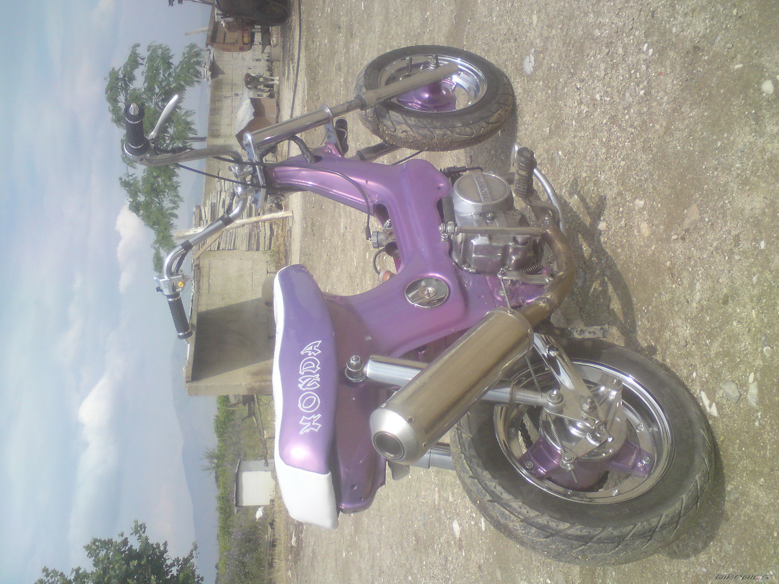 Photo 2027211