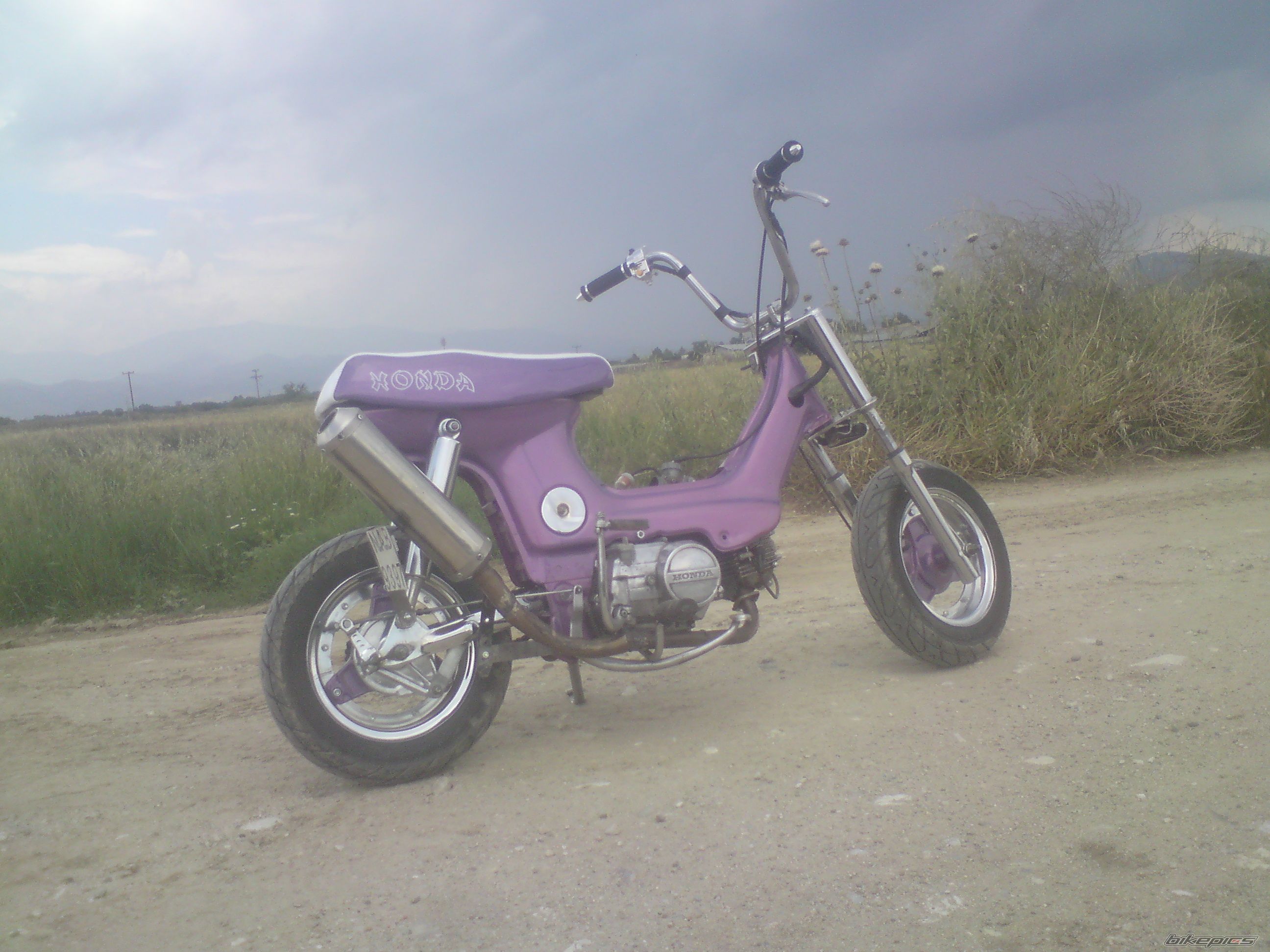Photo 2027213