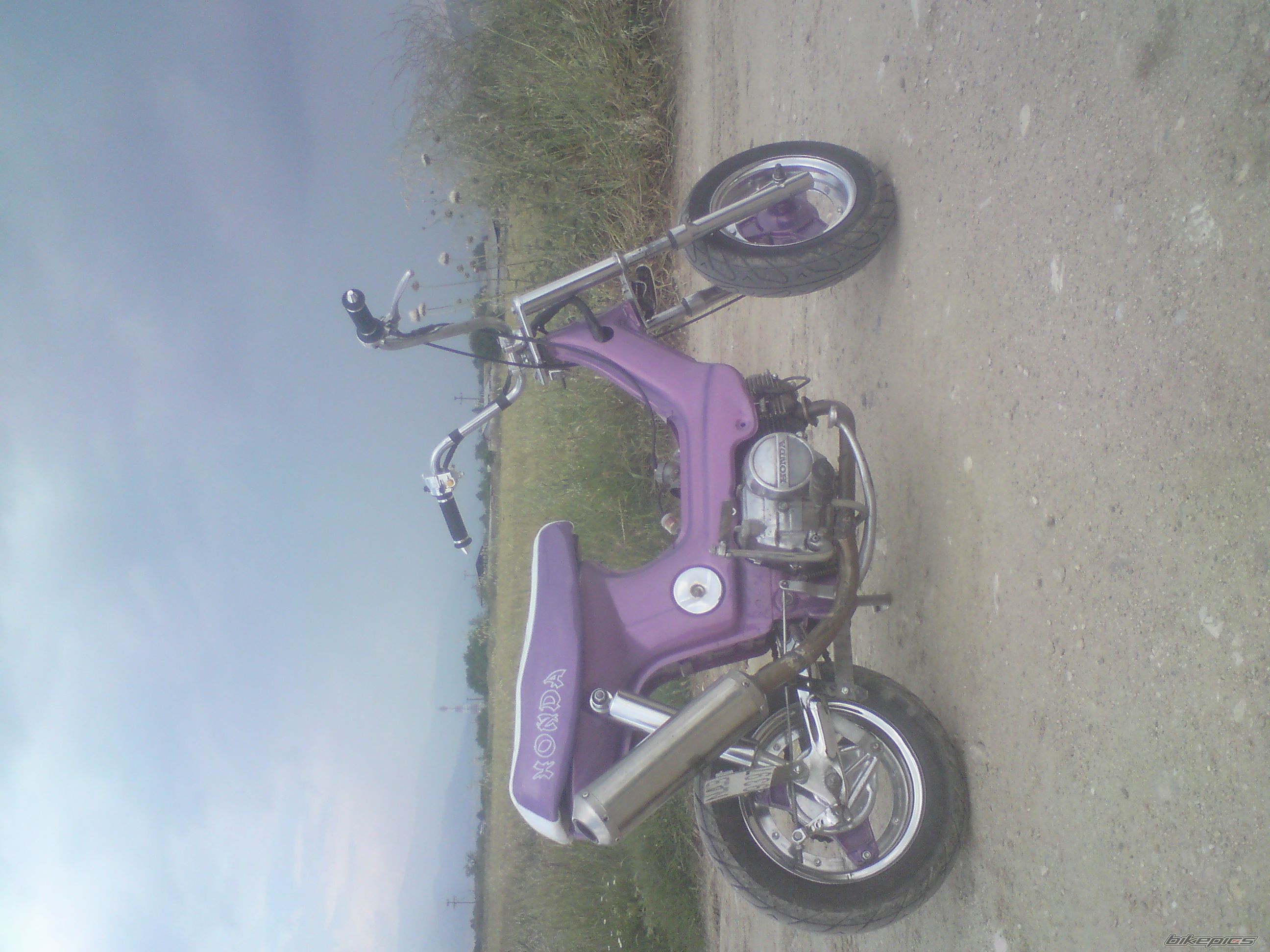 Photo 2027215