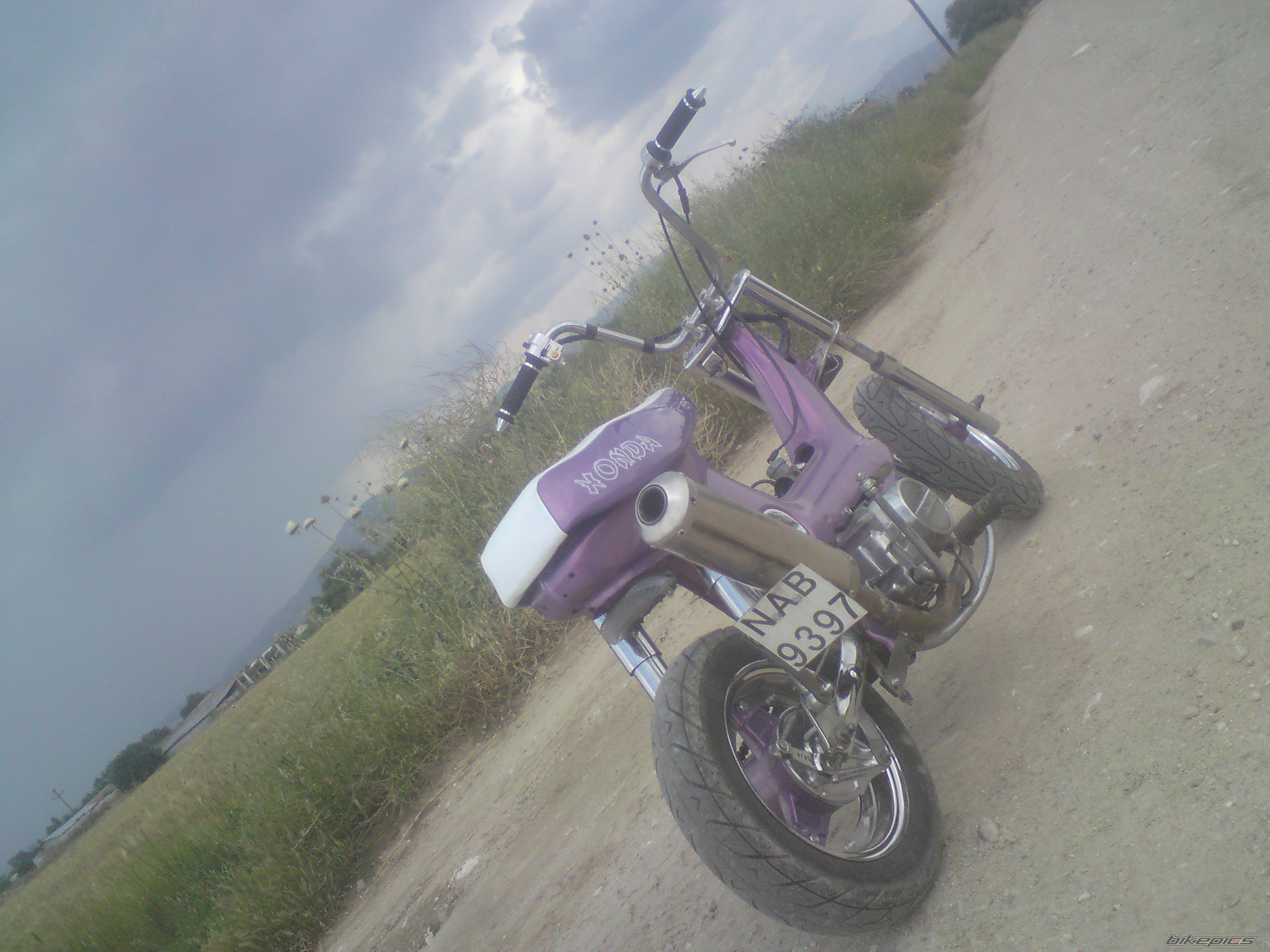 Photo 2027216