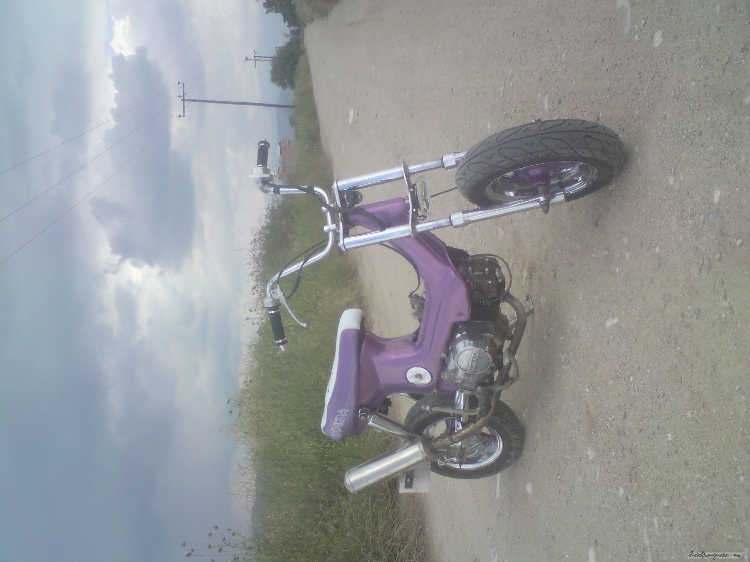 Photo 2027218