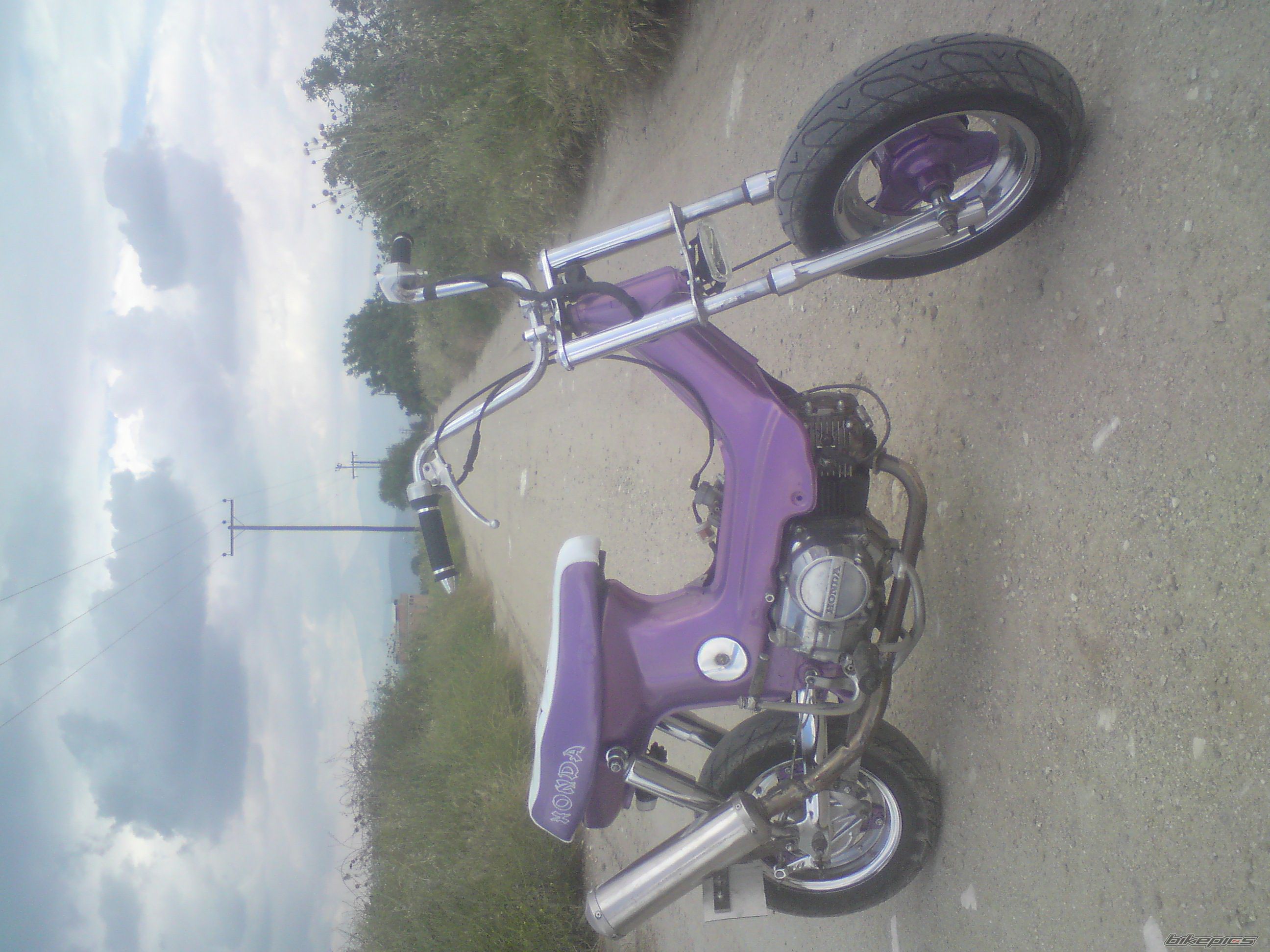 Photo 2027221