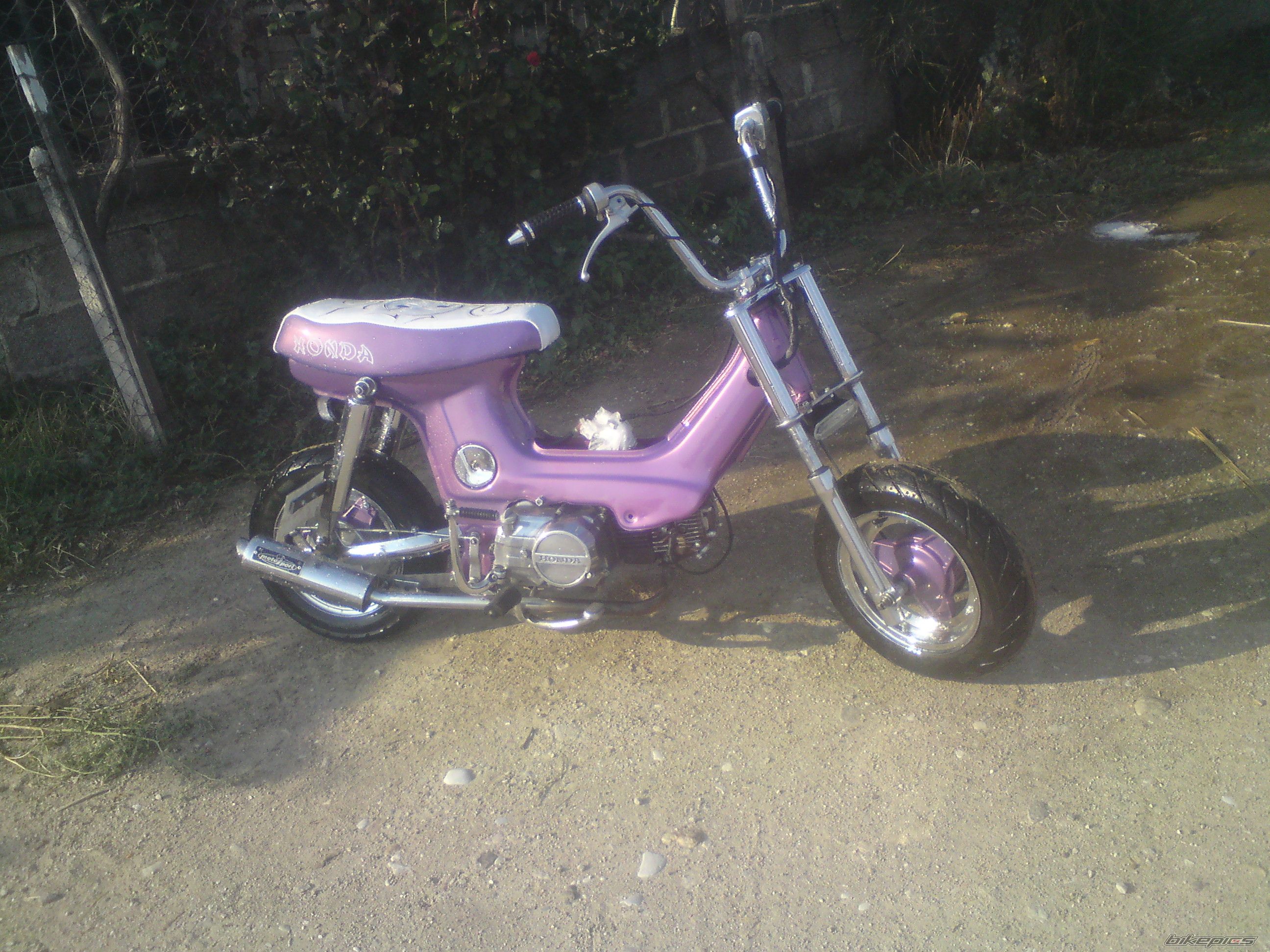 Photo 2027229