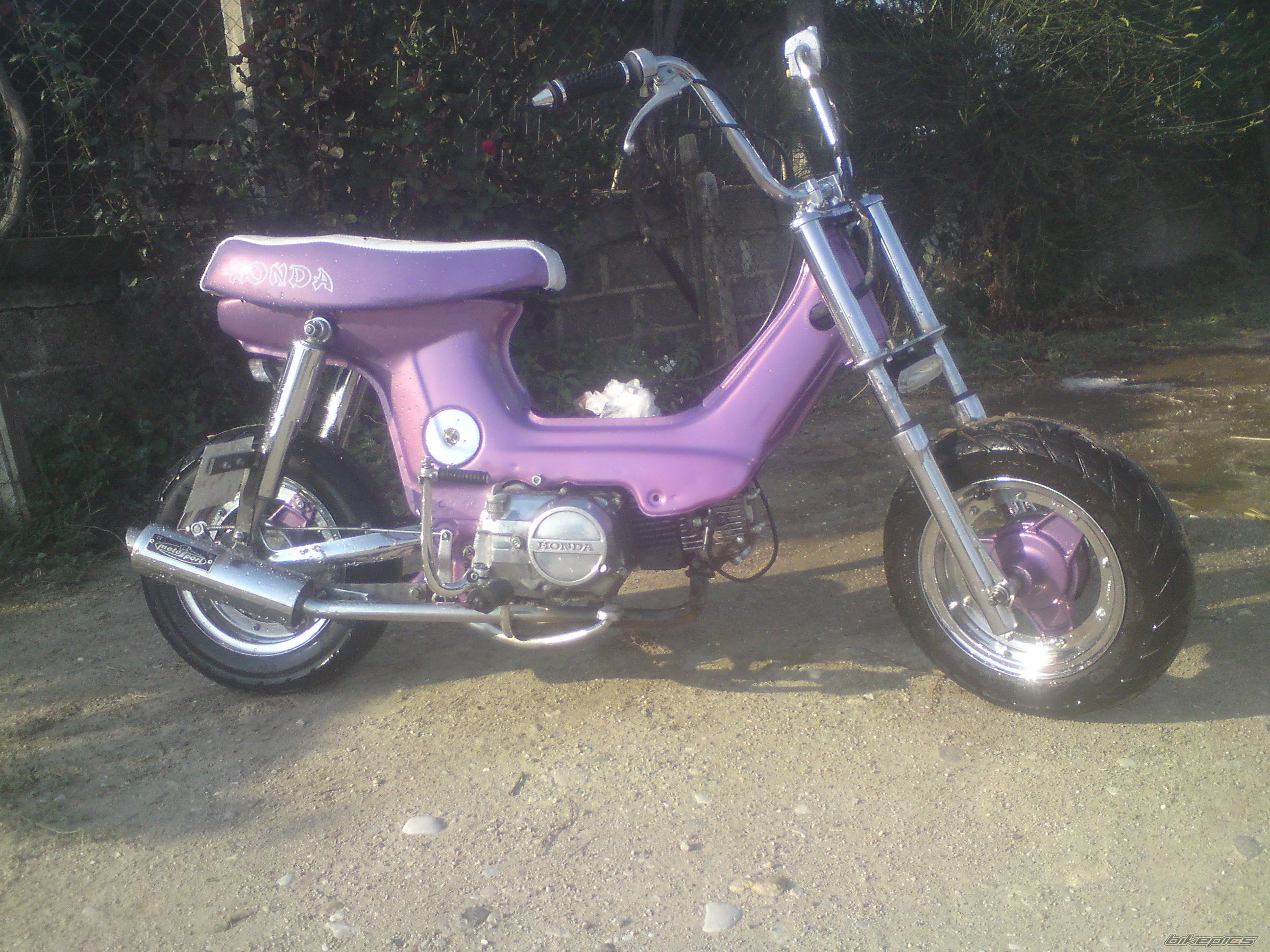 Photo 2027230