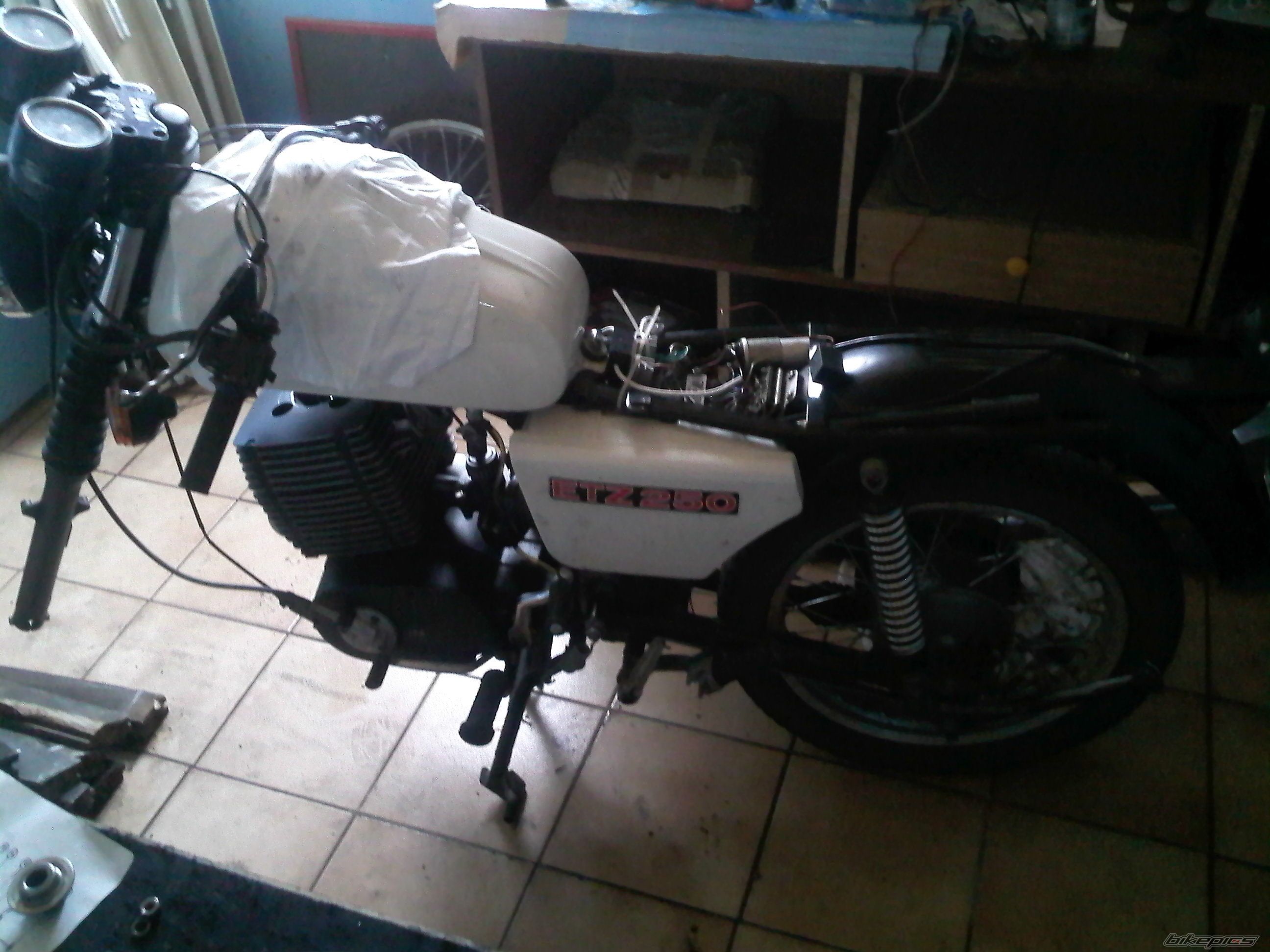 Photo 2027261