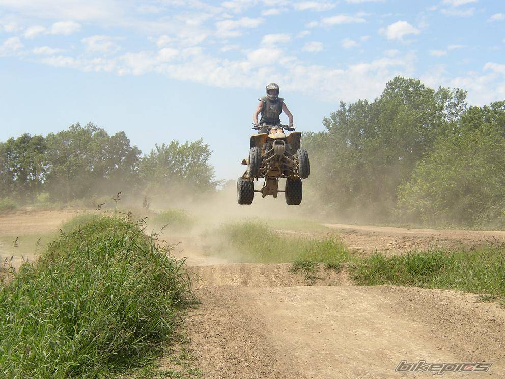 Photo 202729