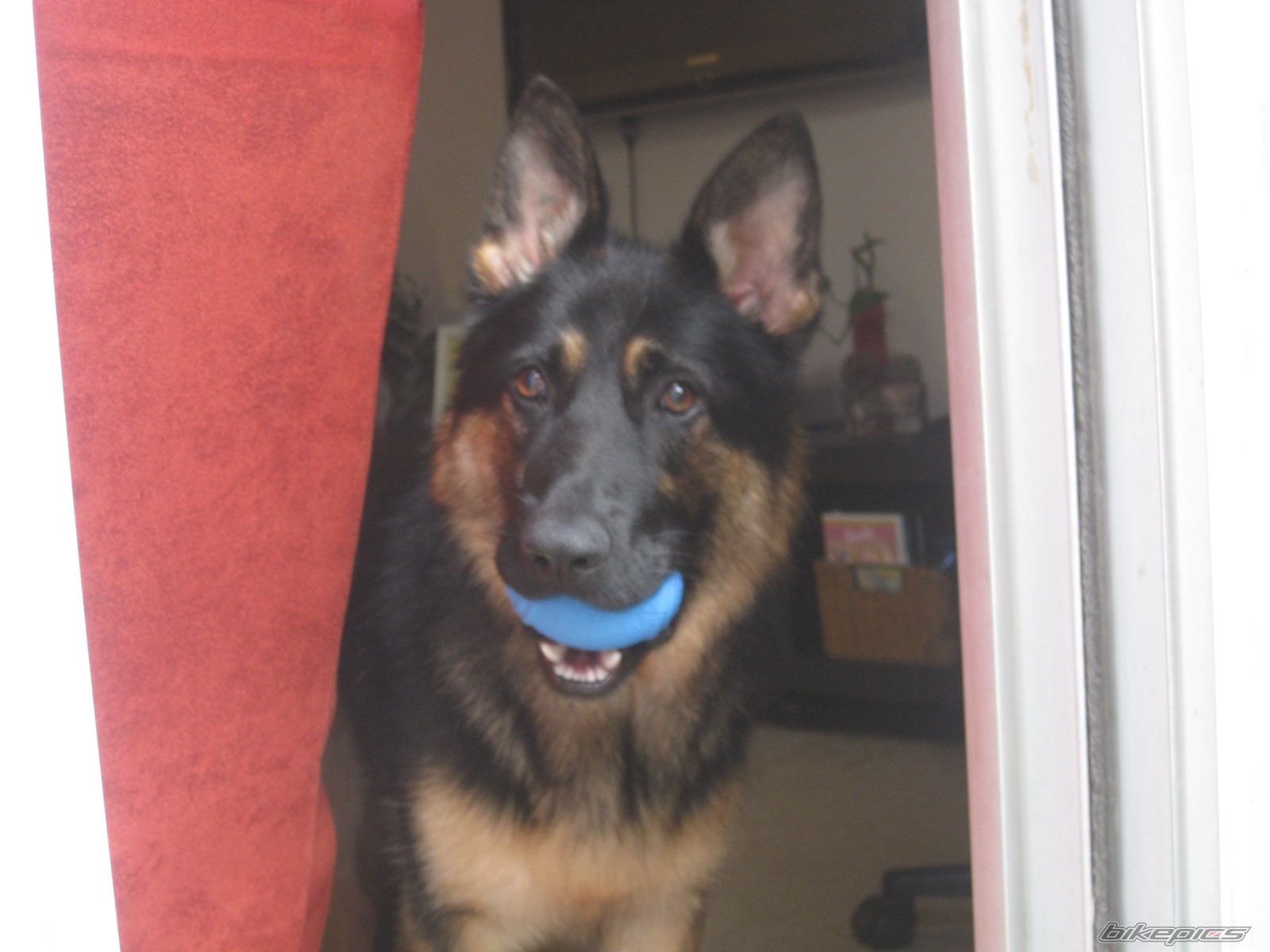 Photo 2027297