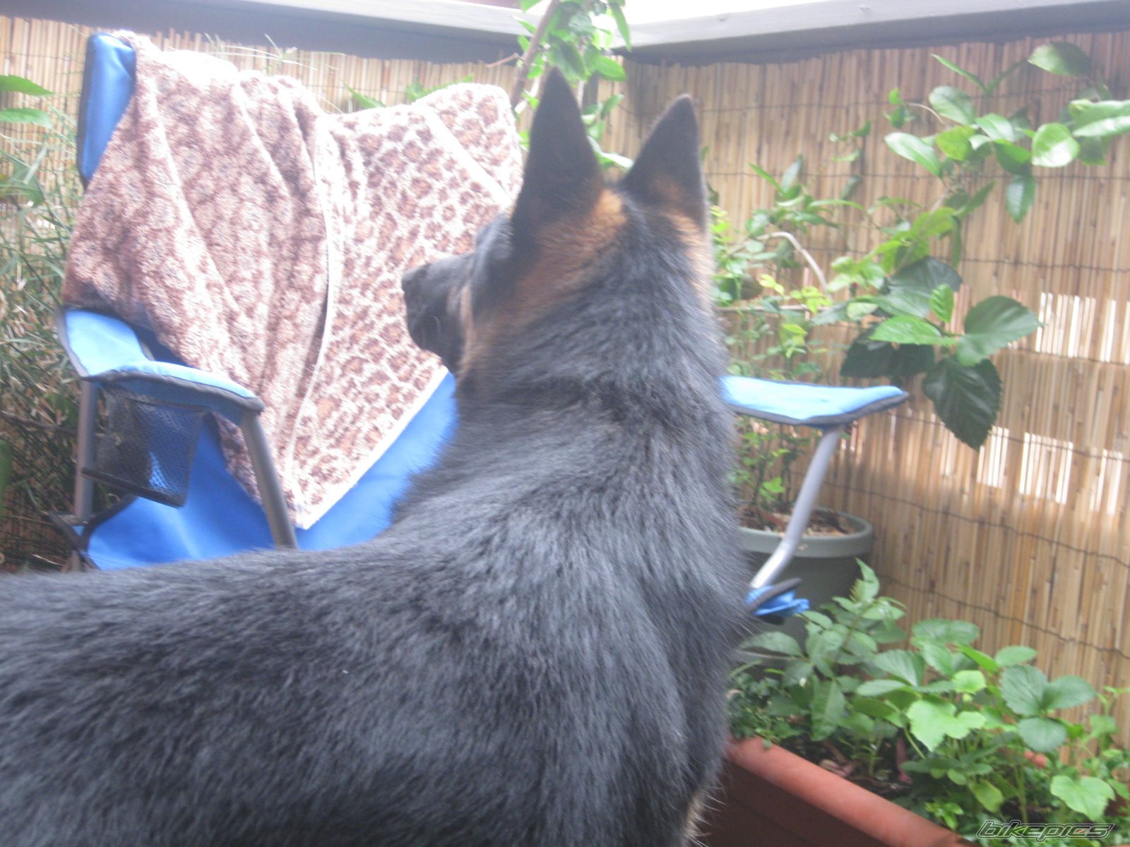 Photo 2027298