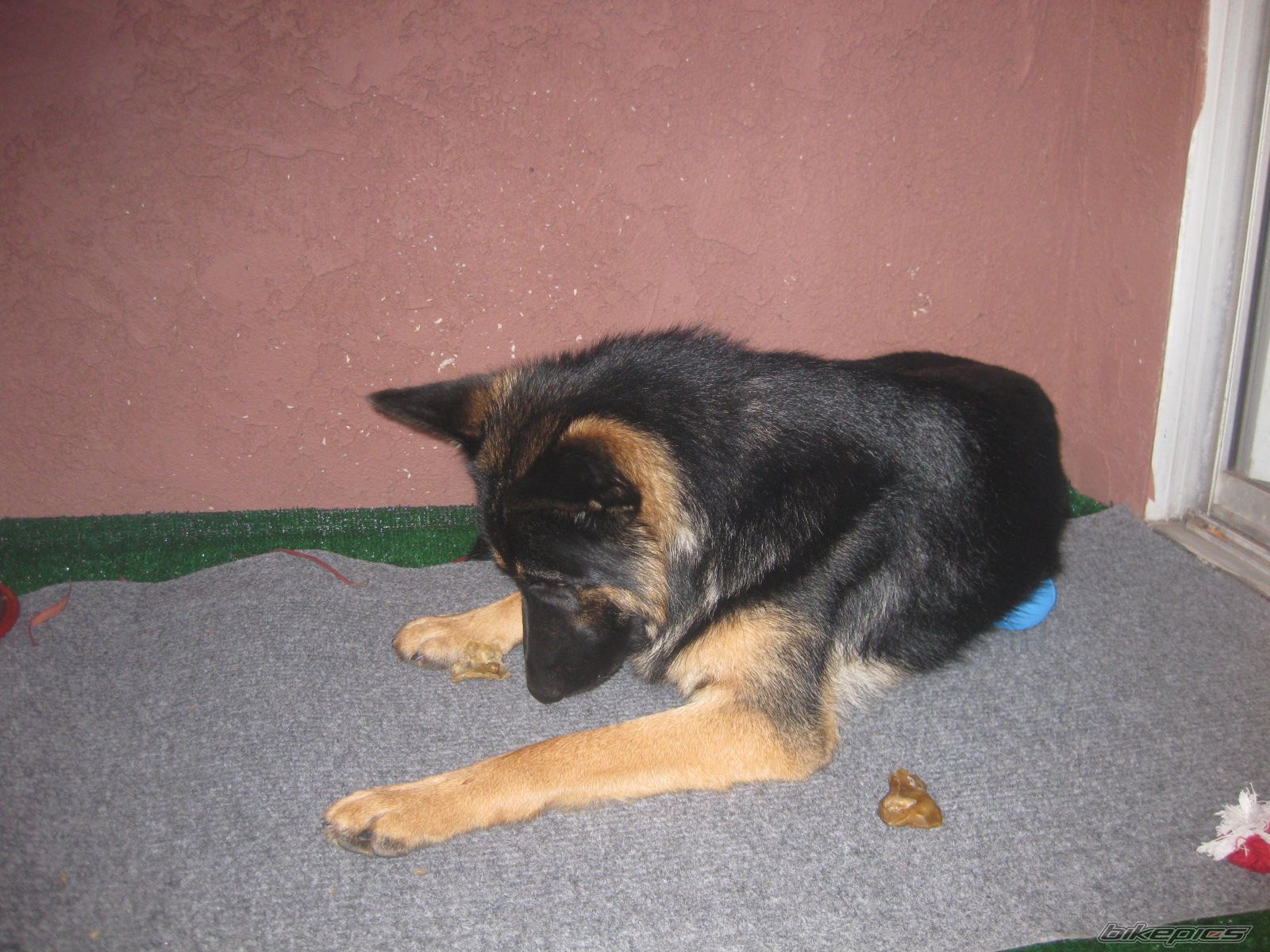Photo 2027303