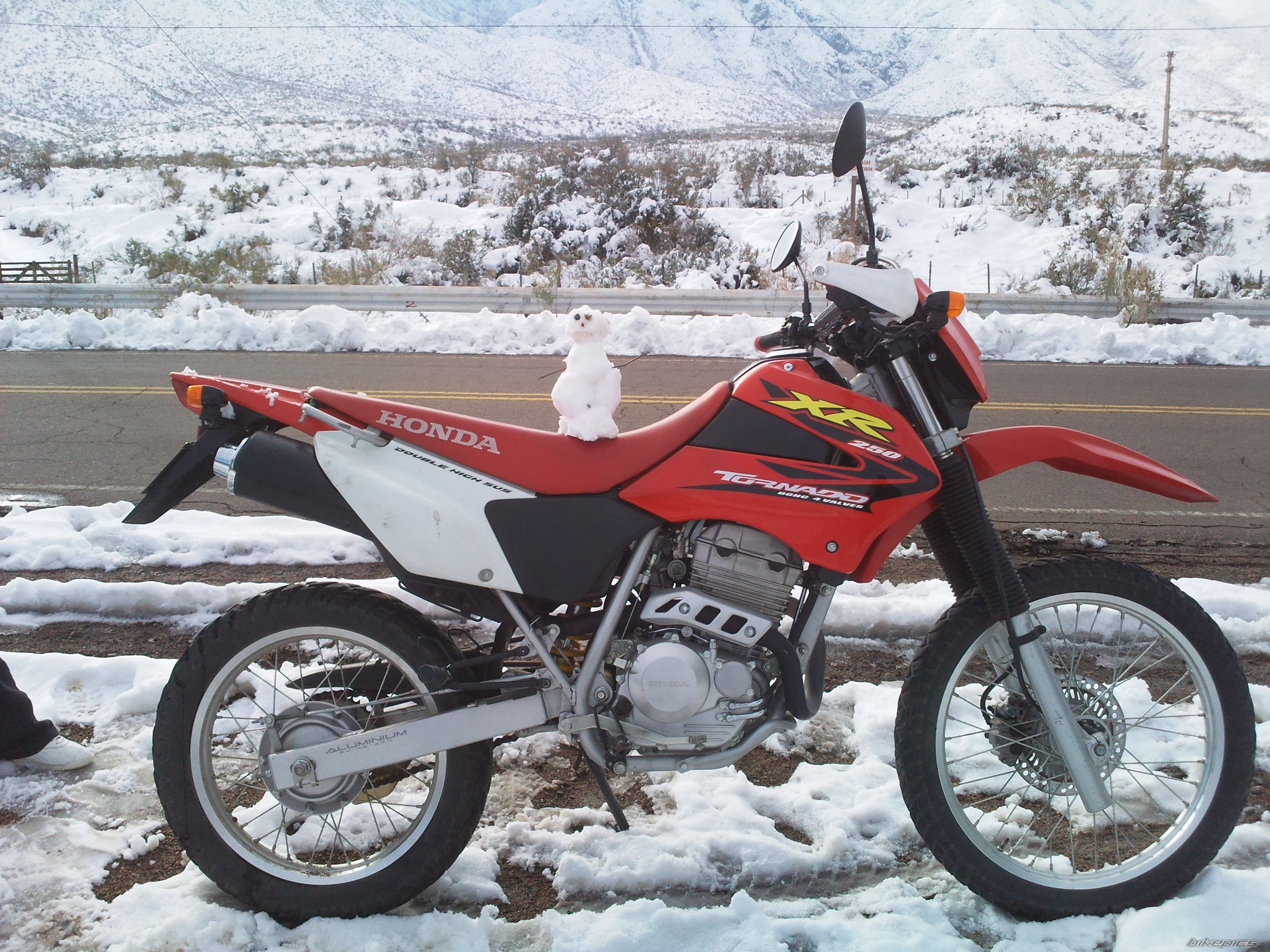 Bike Photo 2027441