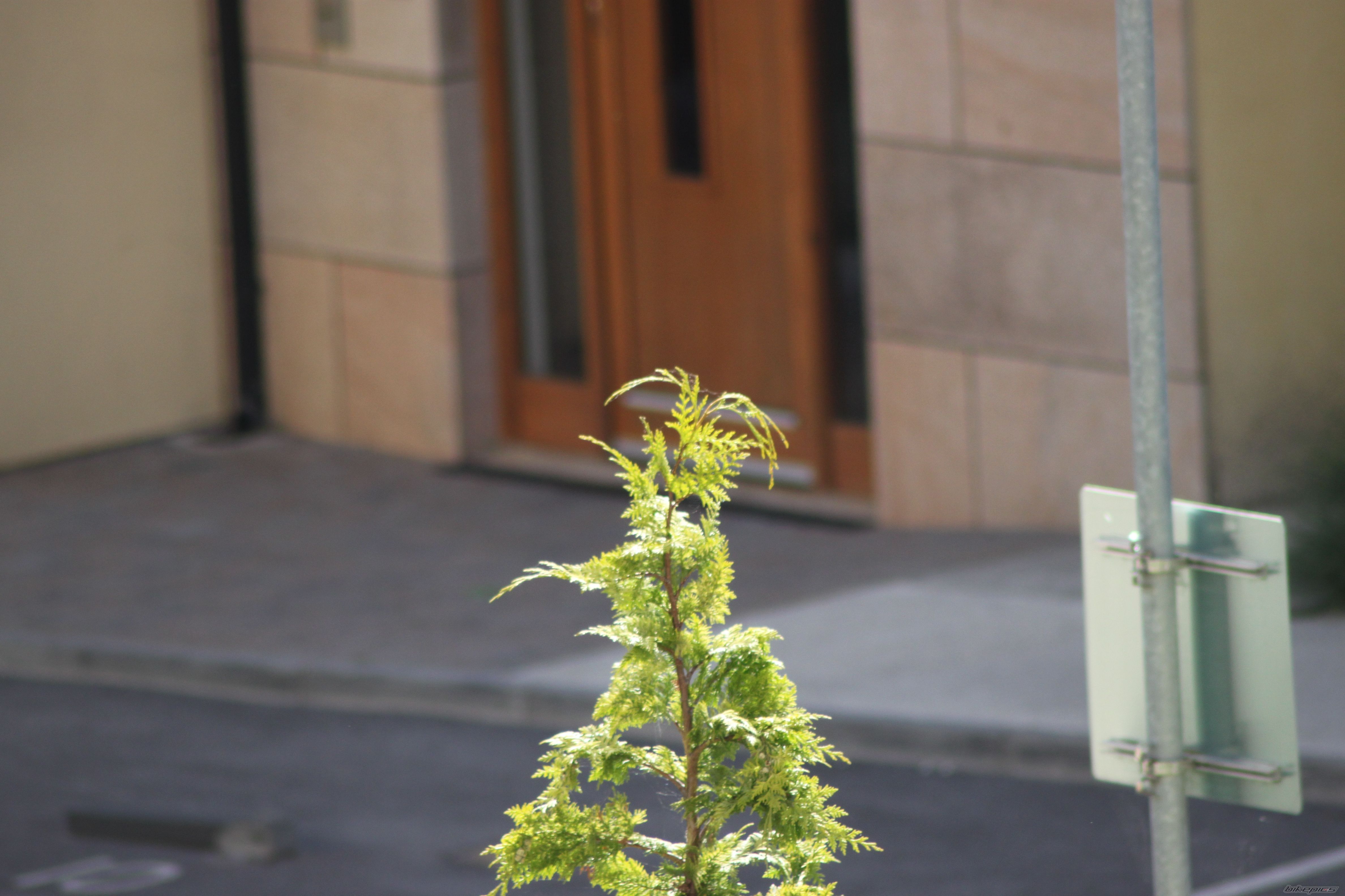 Photo 2027563