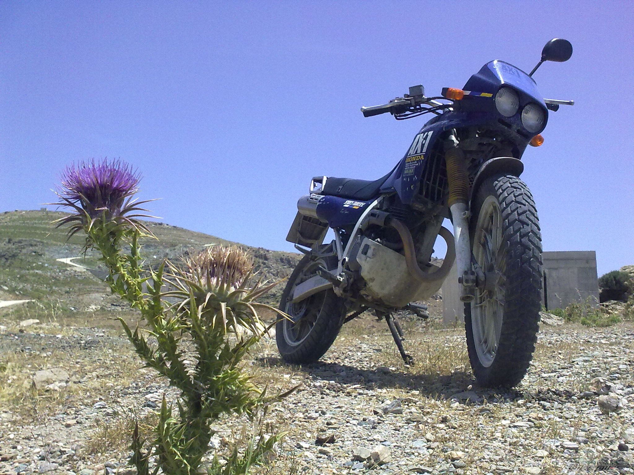 Photo 2027653